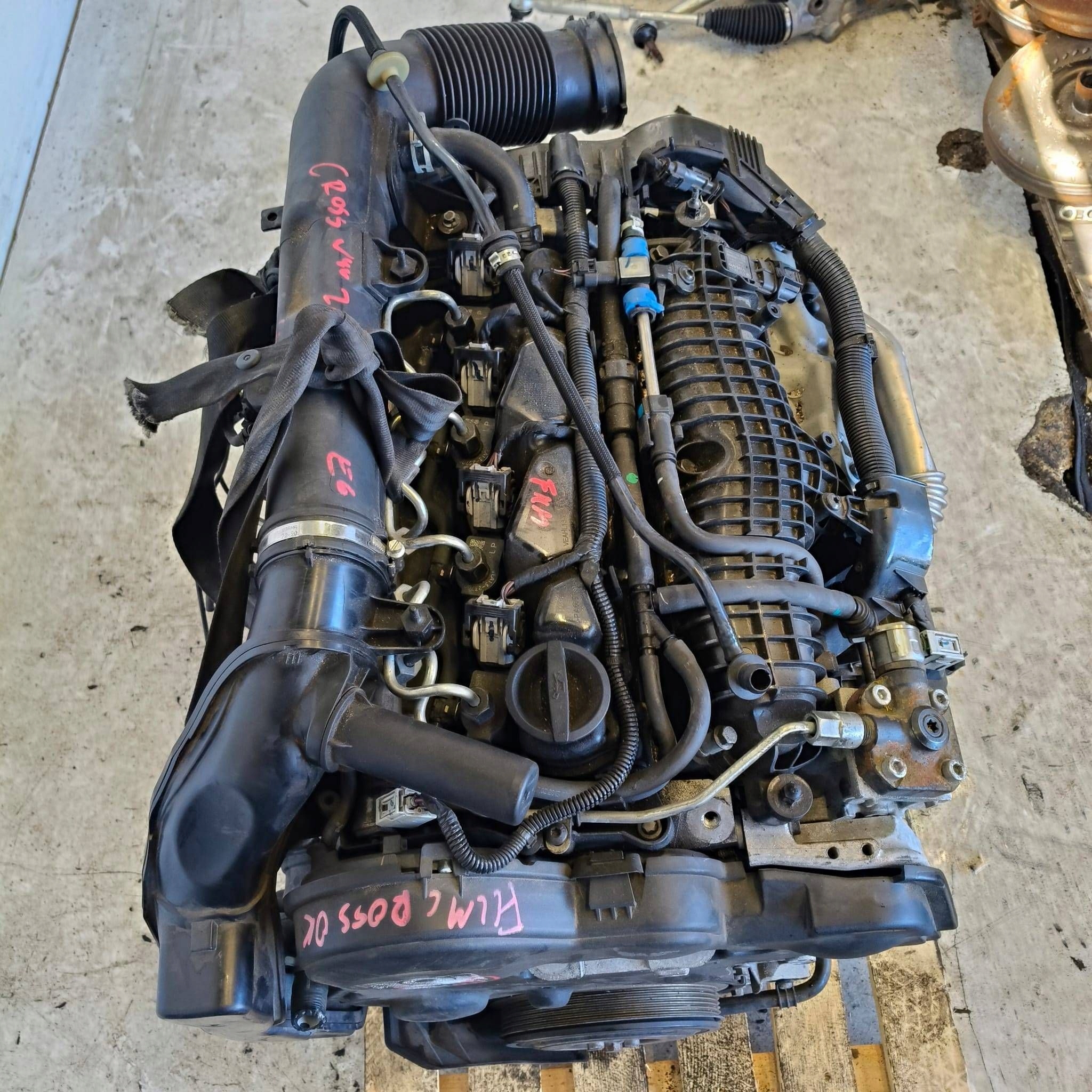 Moteur D 4204 T8 - Image 5
