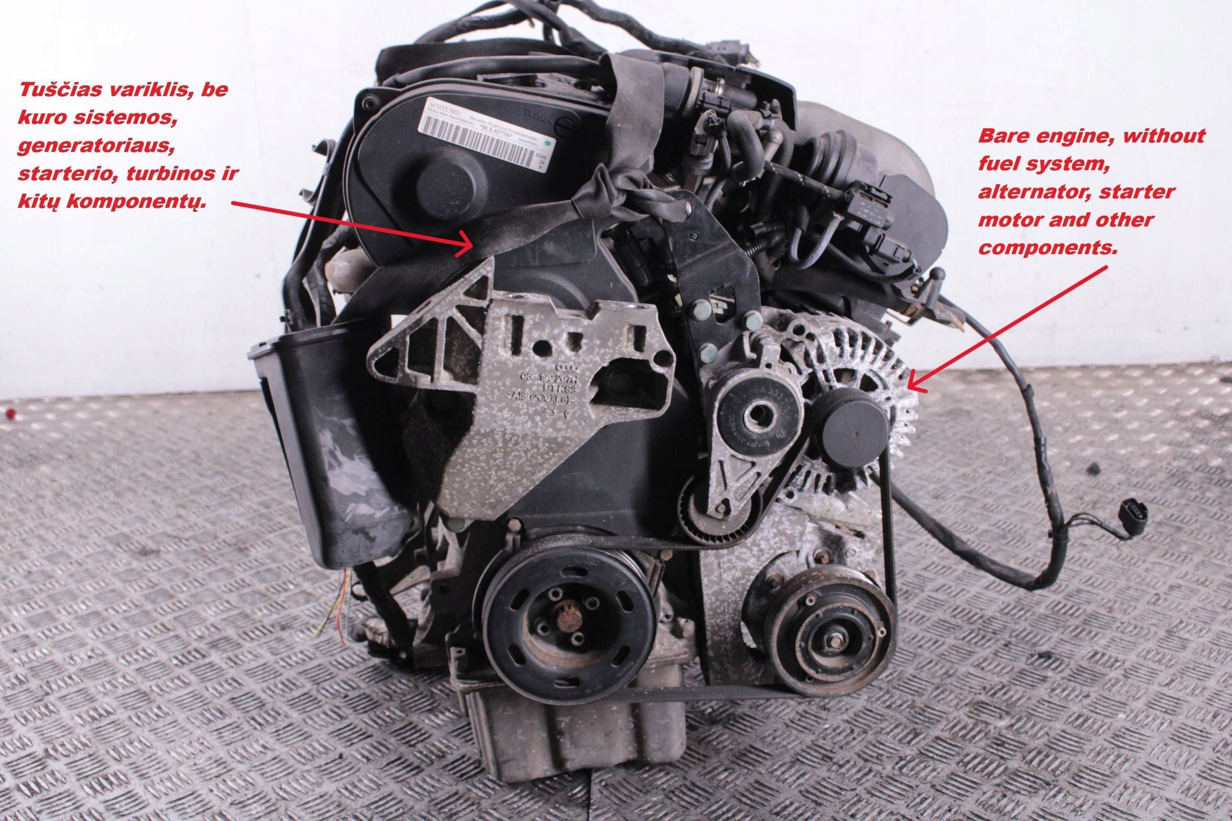 Moteur BLX - Image 1