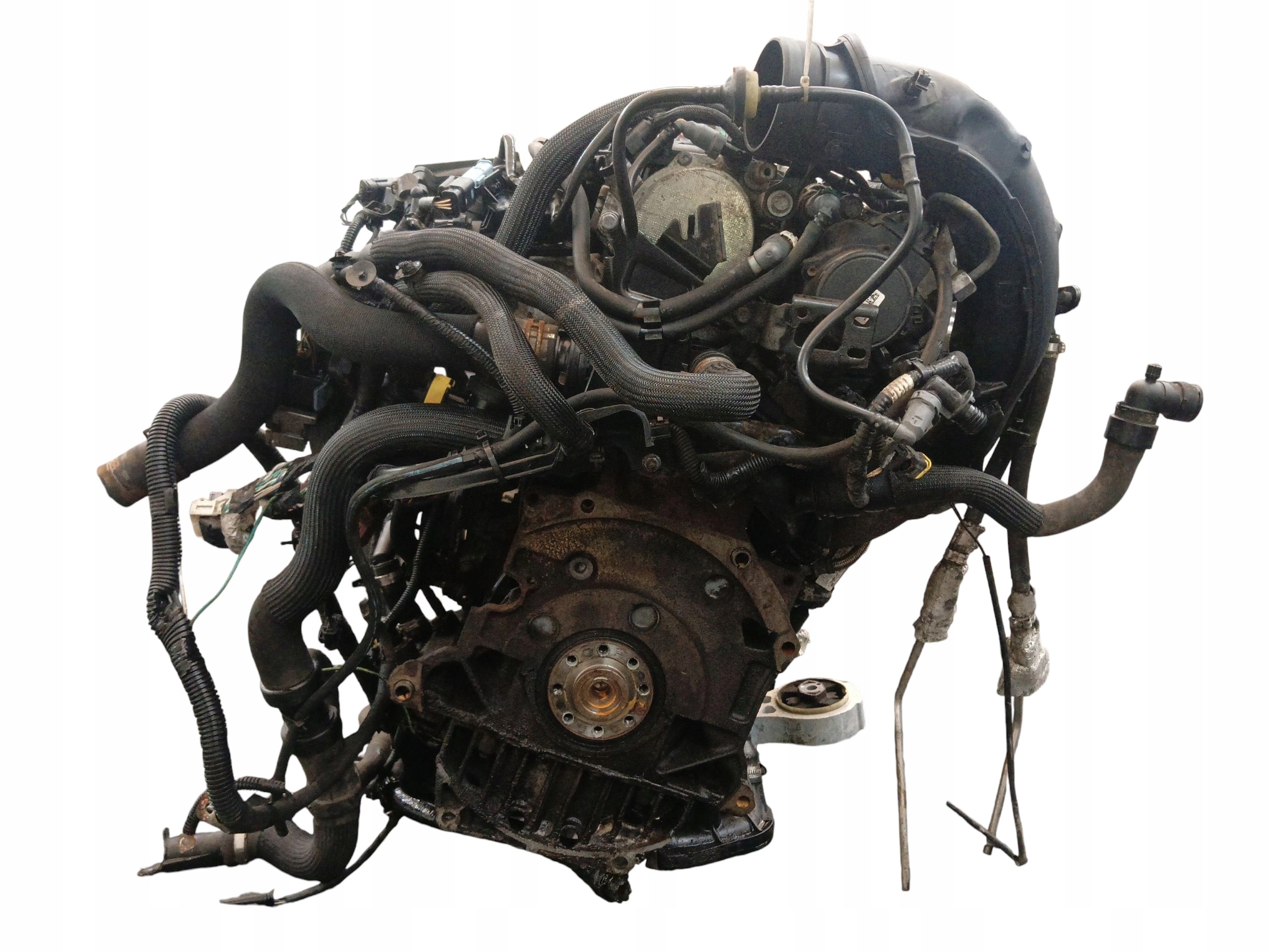 Moteur RHA (DW10CTED4) - Image 6
