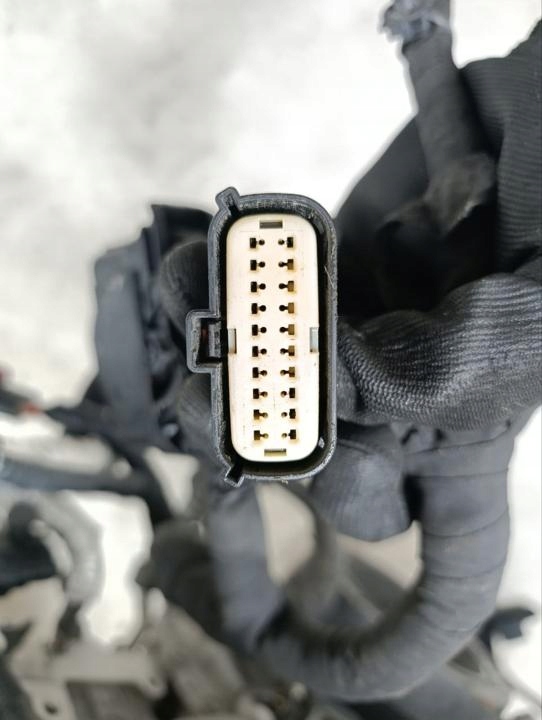 Moteur LT1(376CUV8) - Image 13