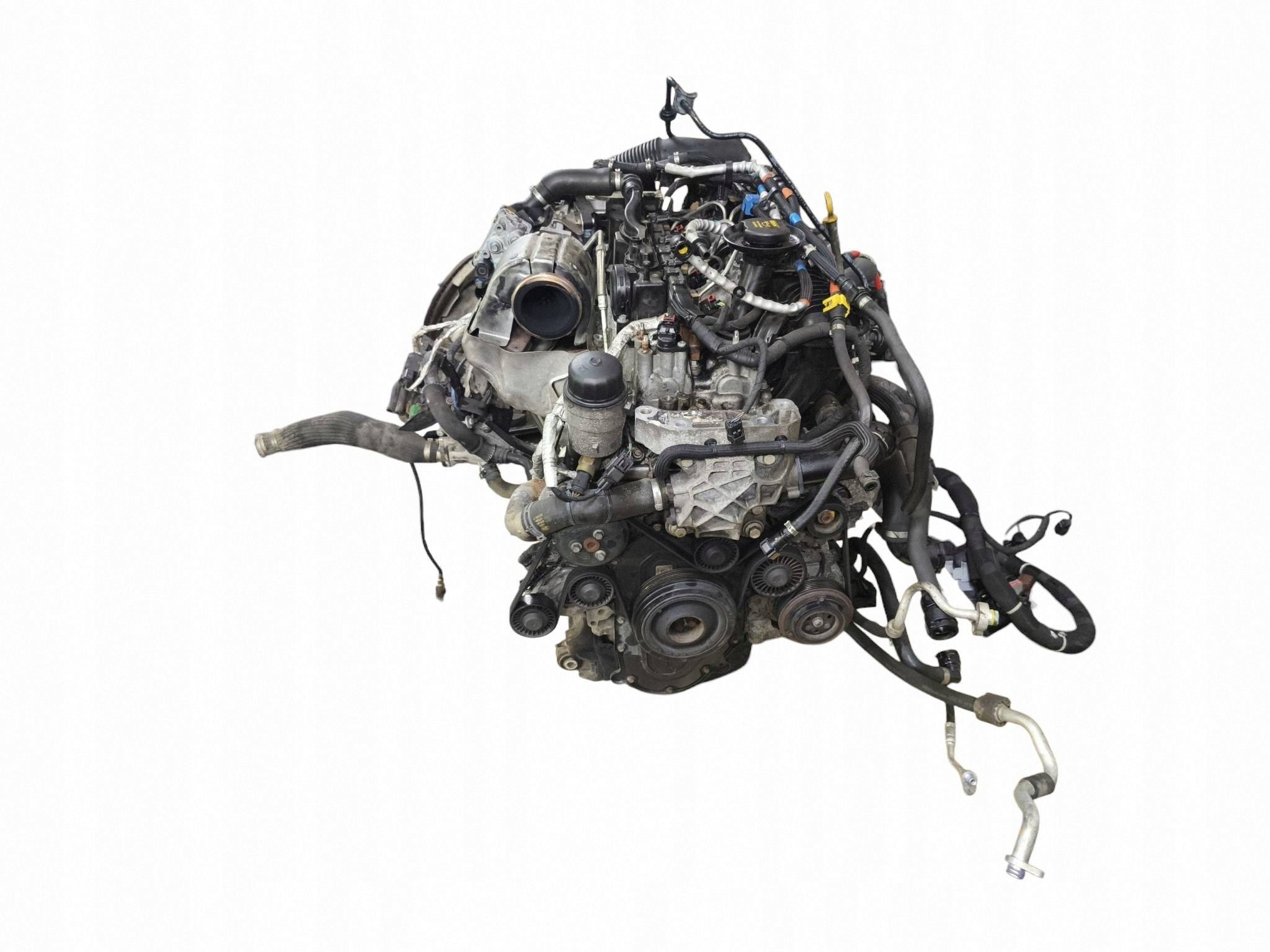 Moteur 204DTD(AJ20D4) - Image 7