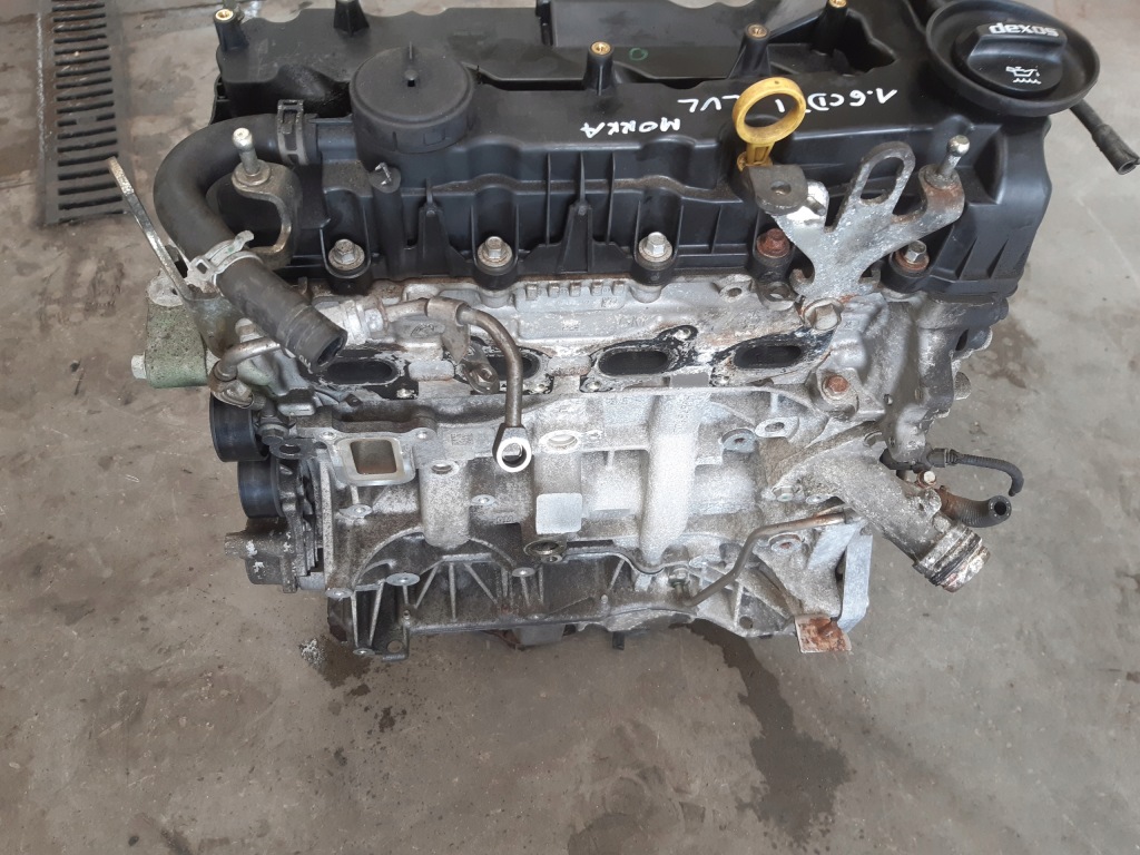 Moteur B 16 DTH - Image 5