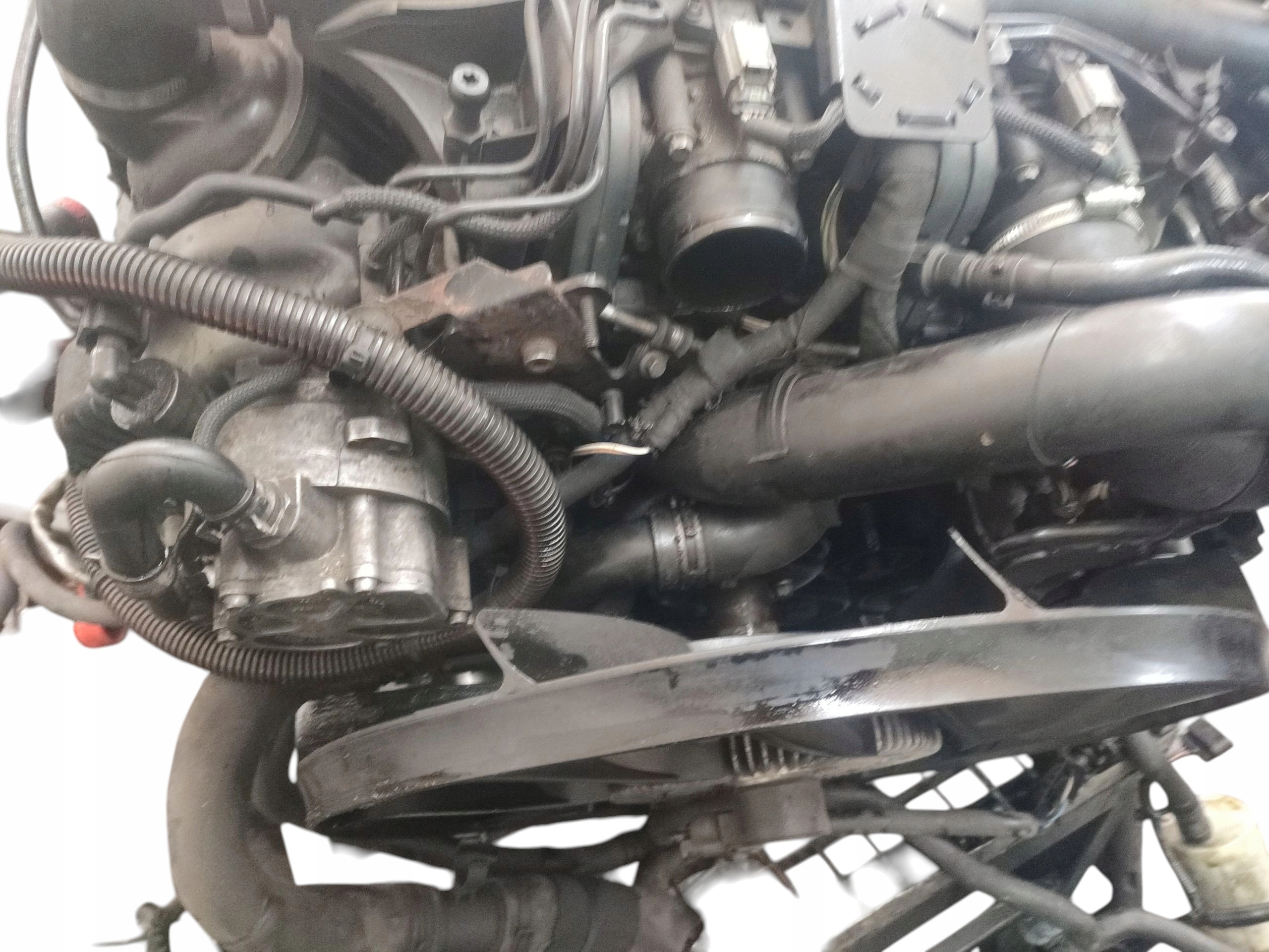 Moteur 368DT(LION) — vue 4