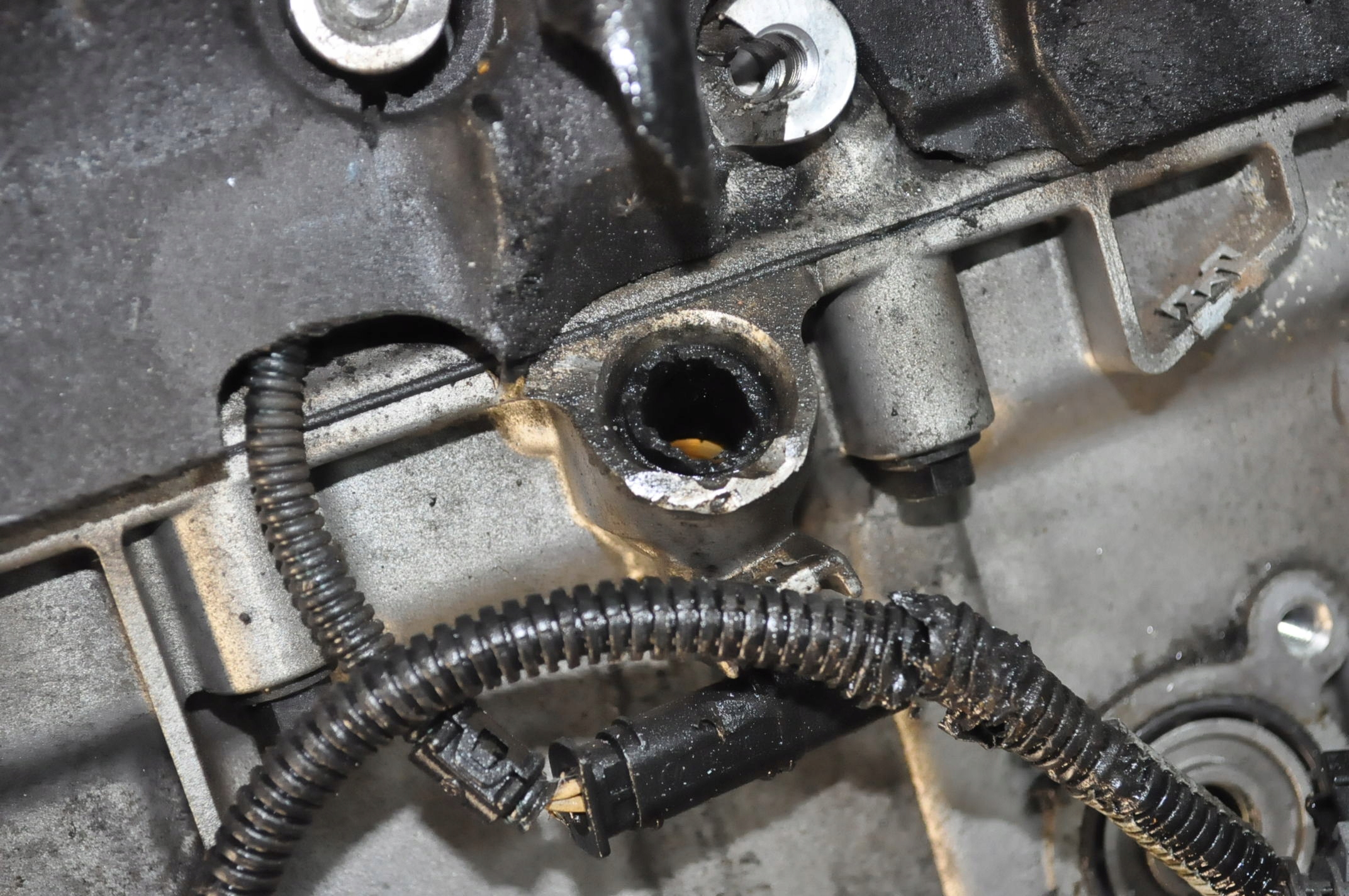 Moteur D 4204 T23 - Image 3