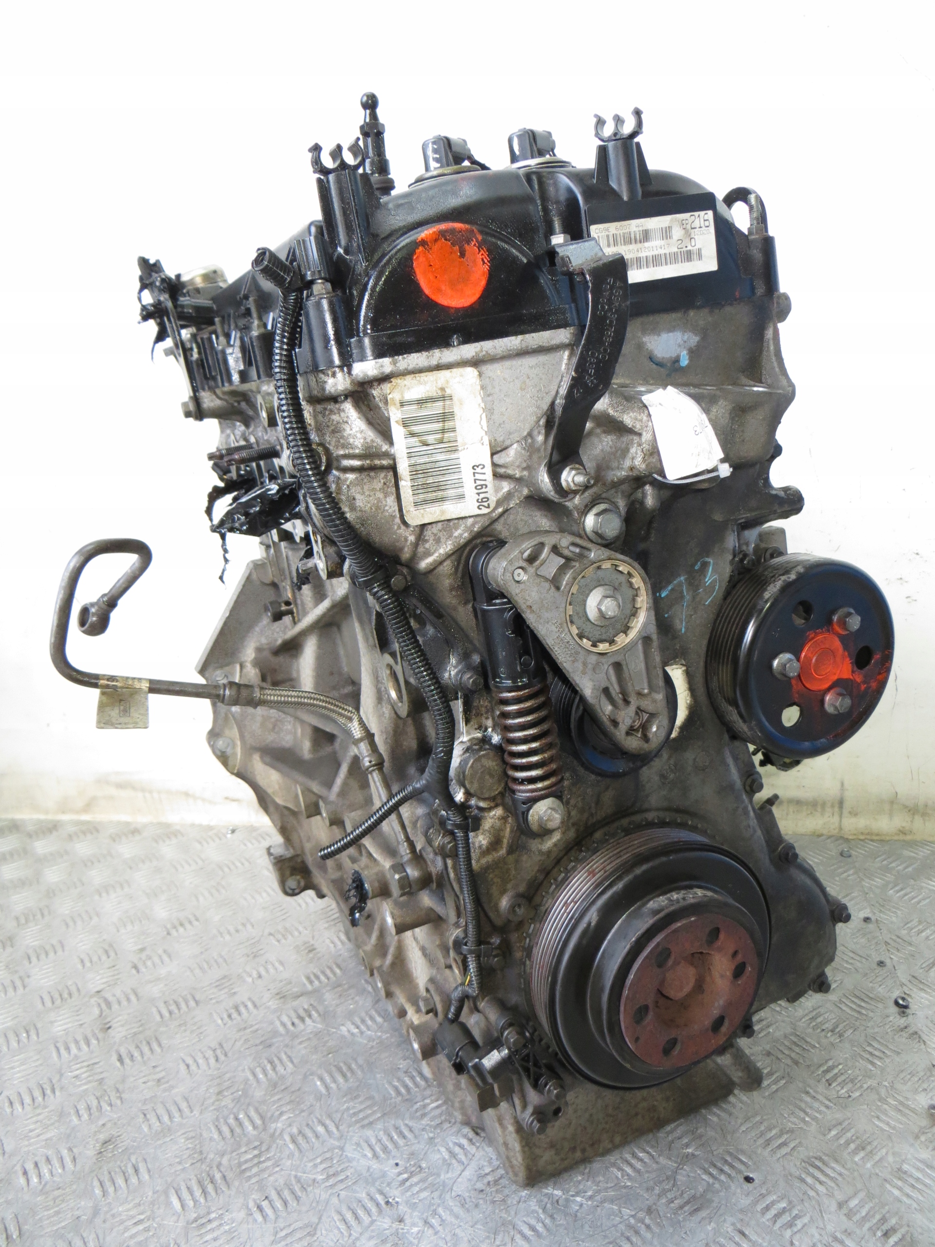 Moteur B 4204 T7 - Image 12