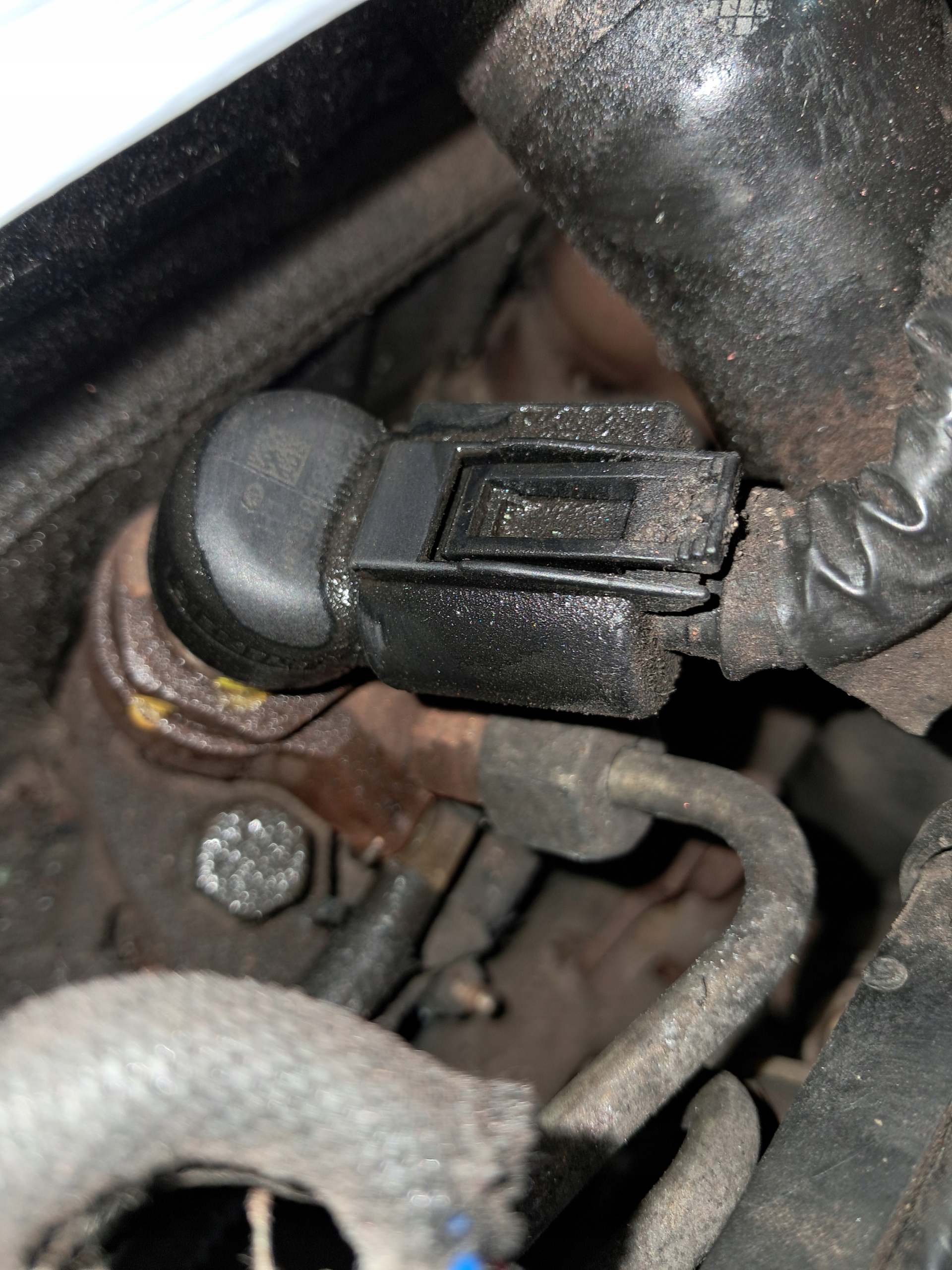 Moteur RHV (DW10TD) - Image 6