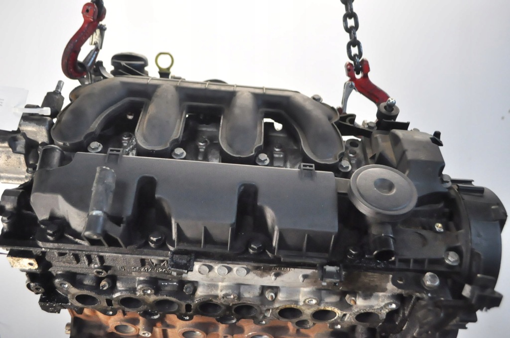 Moteur RHJ (DW10BTED4) - Image 2