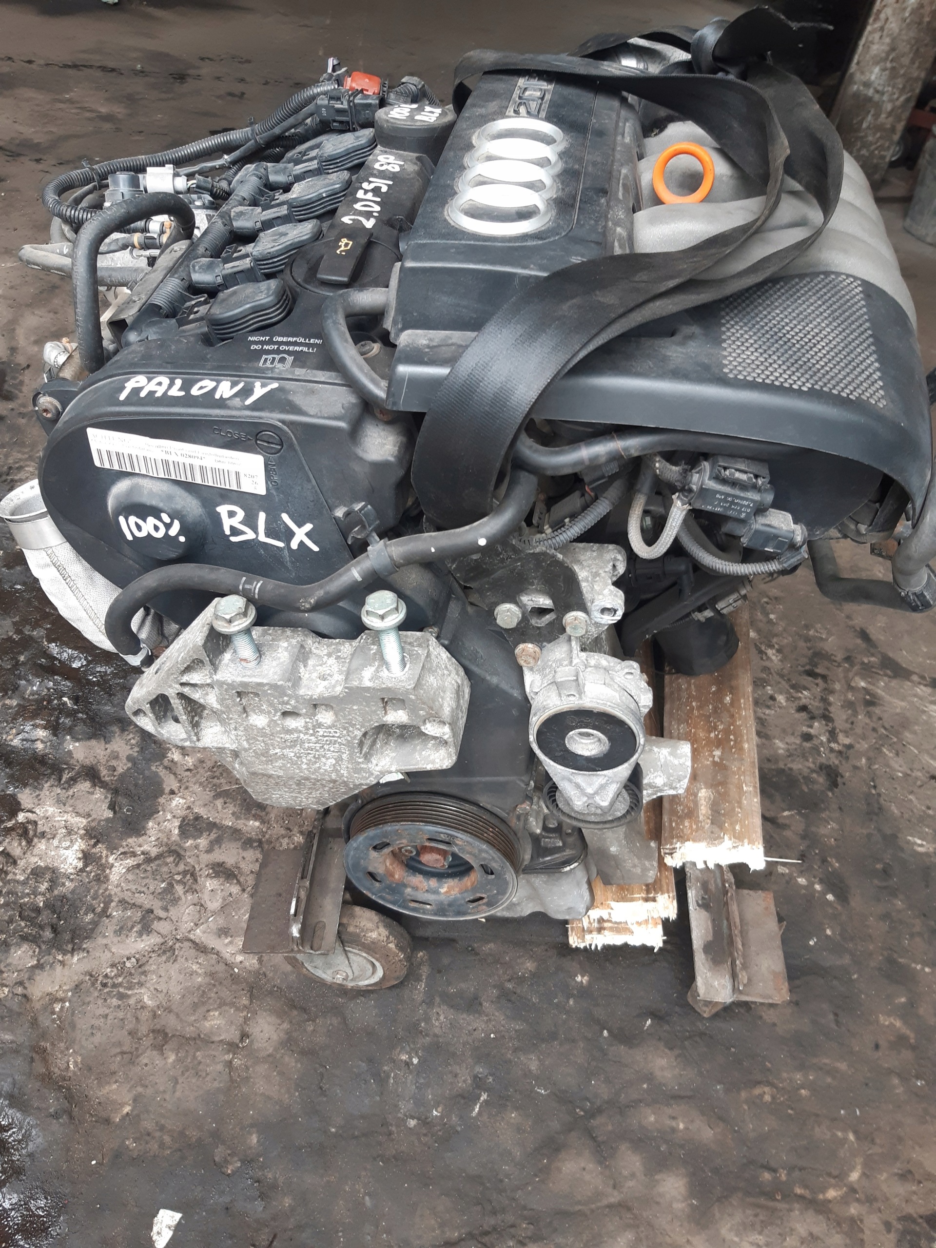 Moteur BLX - Image 4
