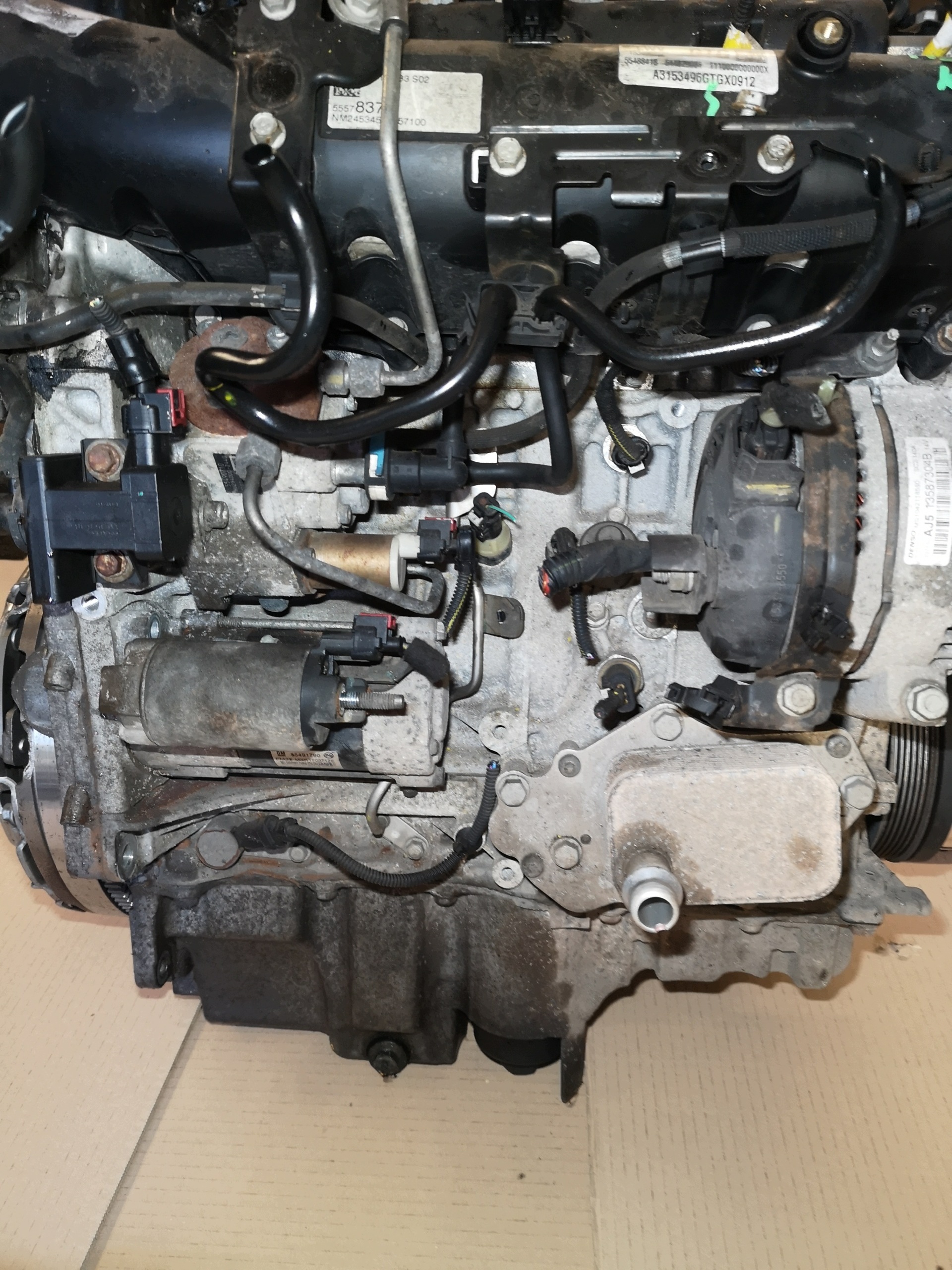 Moteur B 16 DTH - Image 5