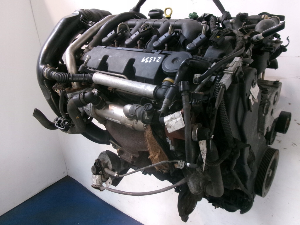 Moteur RHF (DW10BTED4) — vue 1