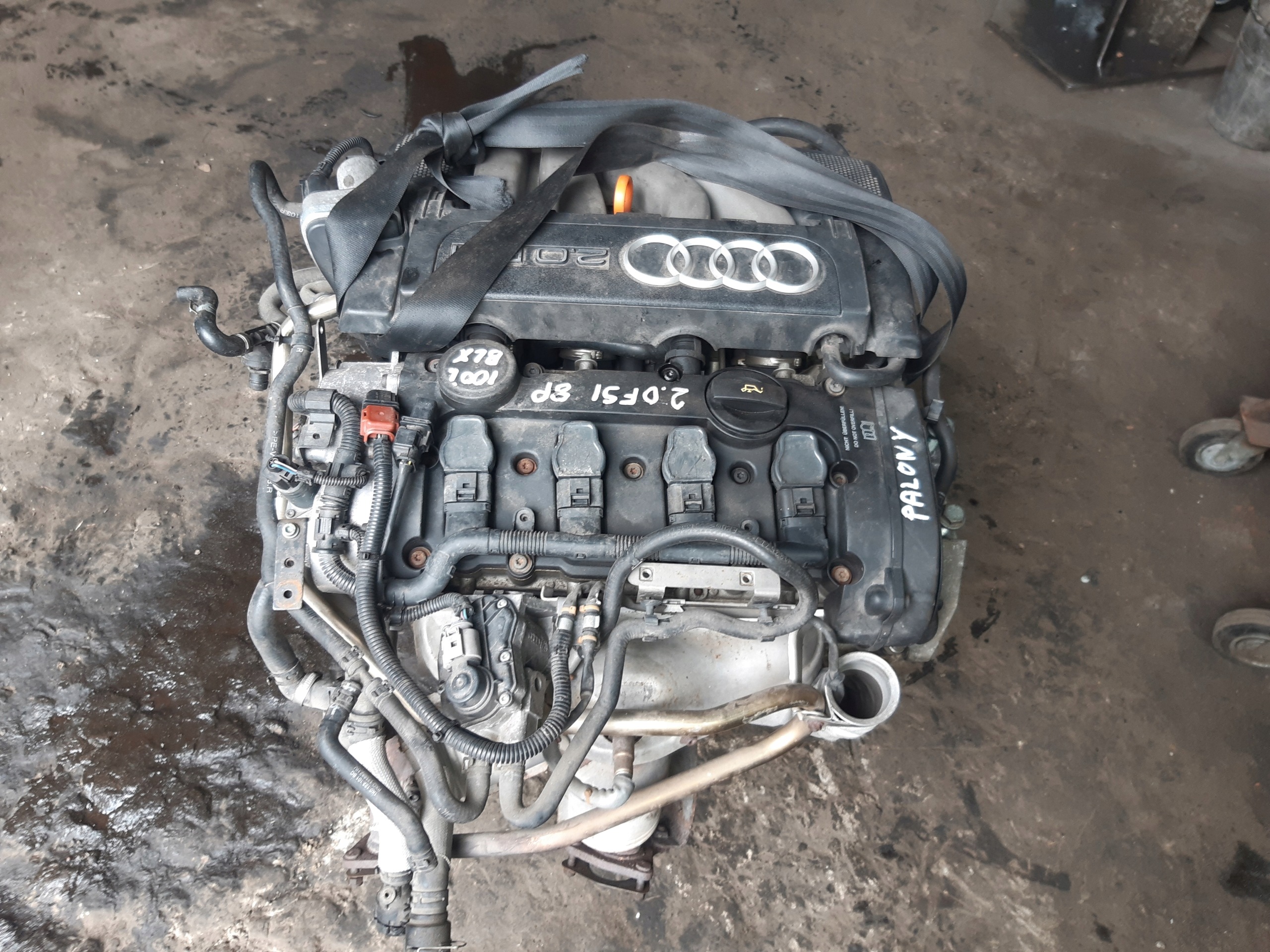 Moteur BLX - Image 2