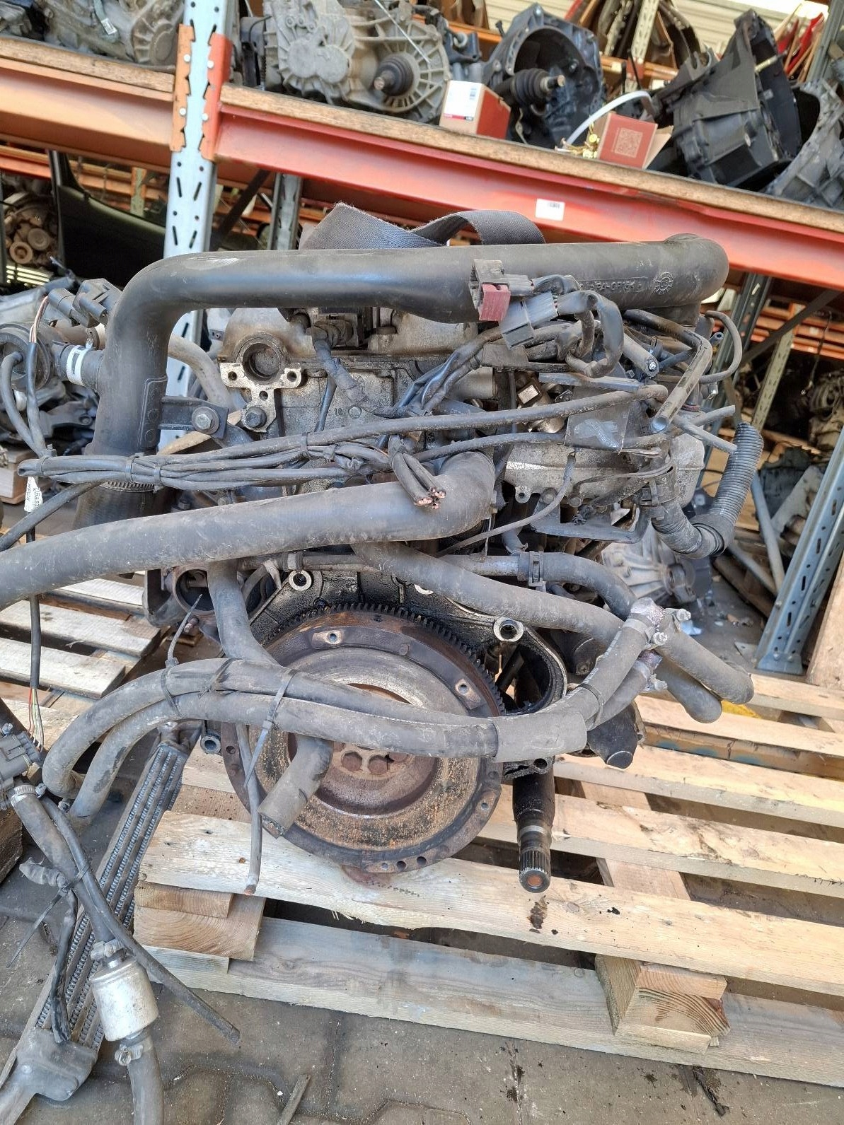 Moteur B205E - Image 5