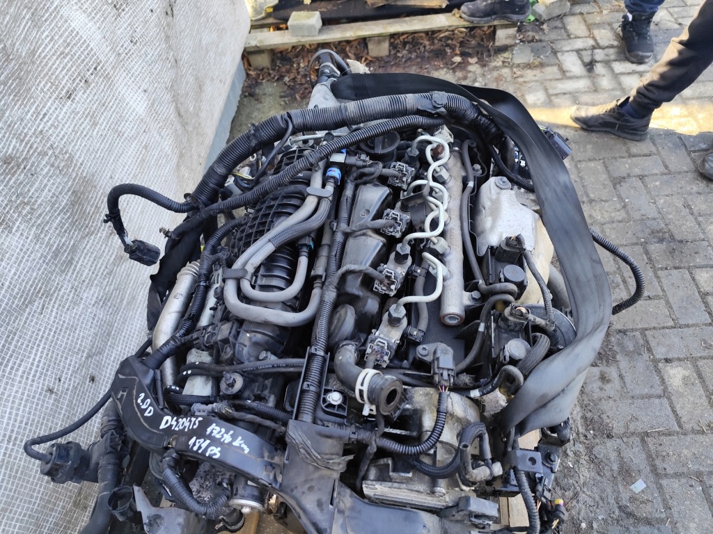 Moteur D 4204 T5 - Image 4