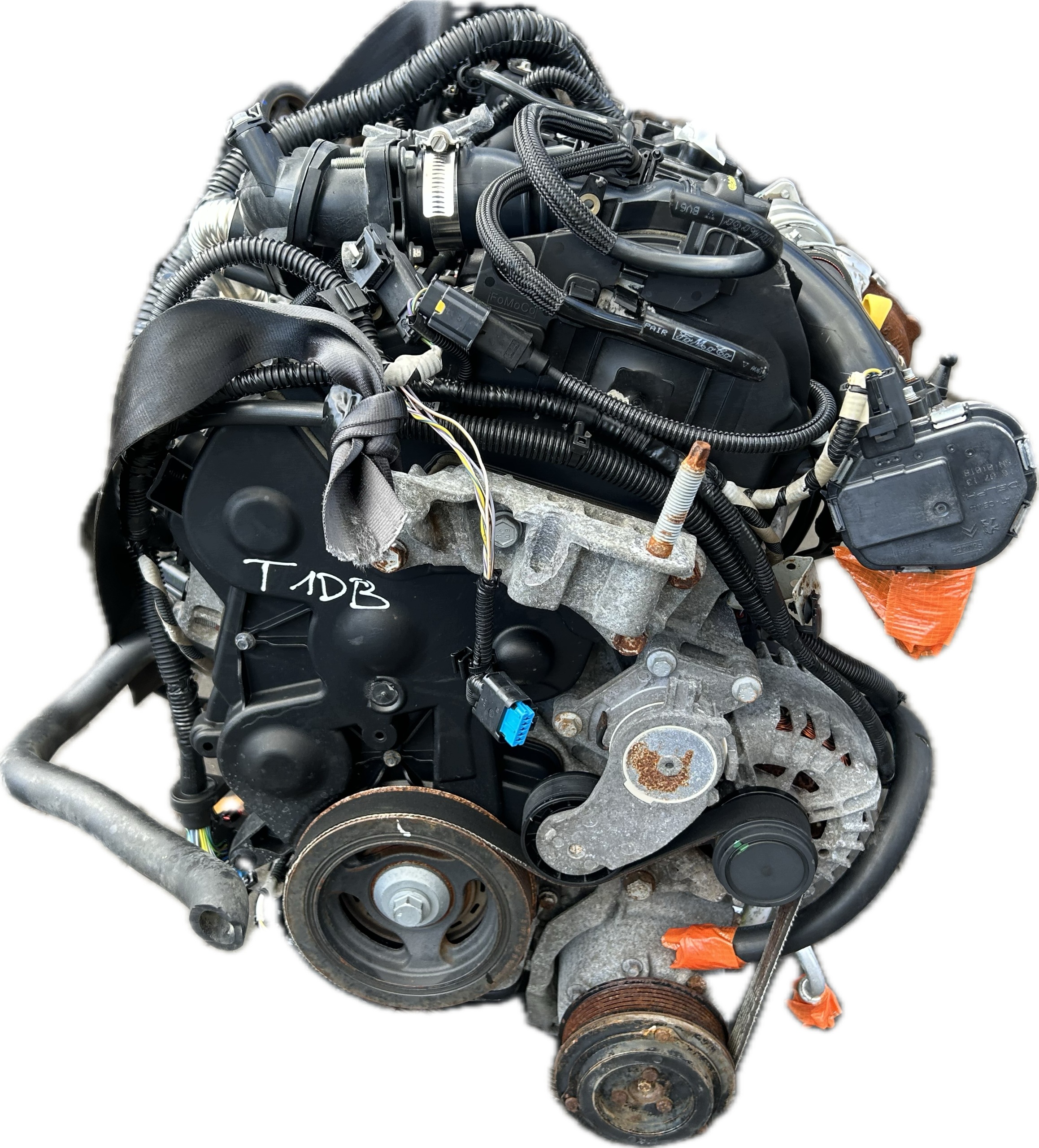 Moteur T1DB - Image 3