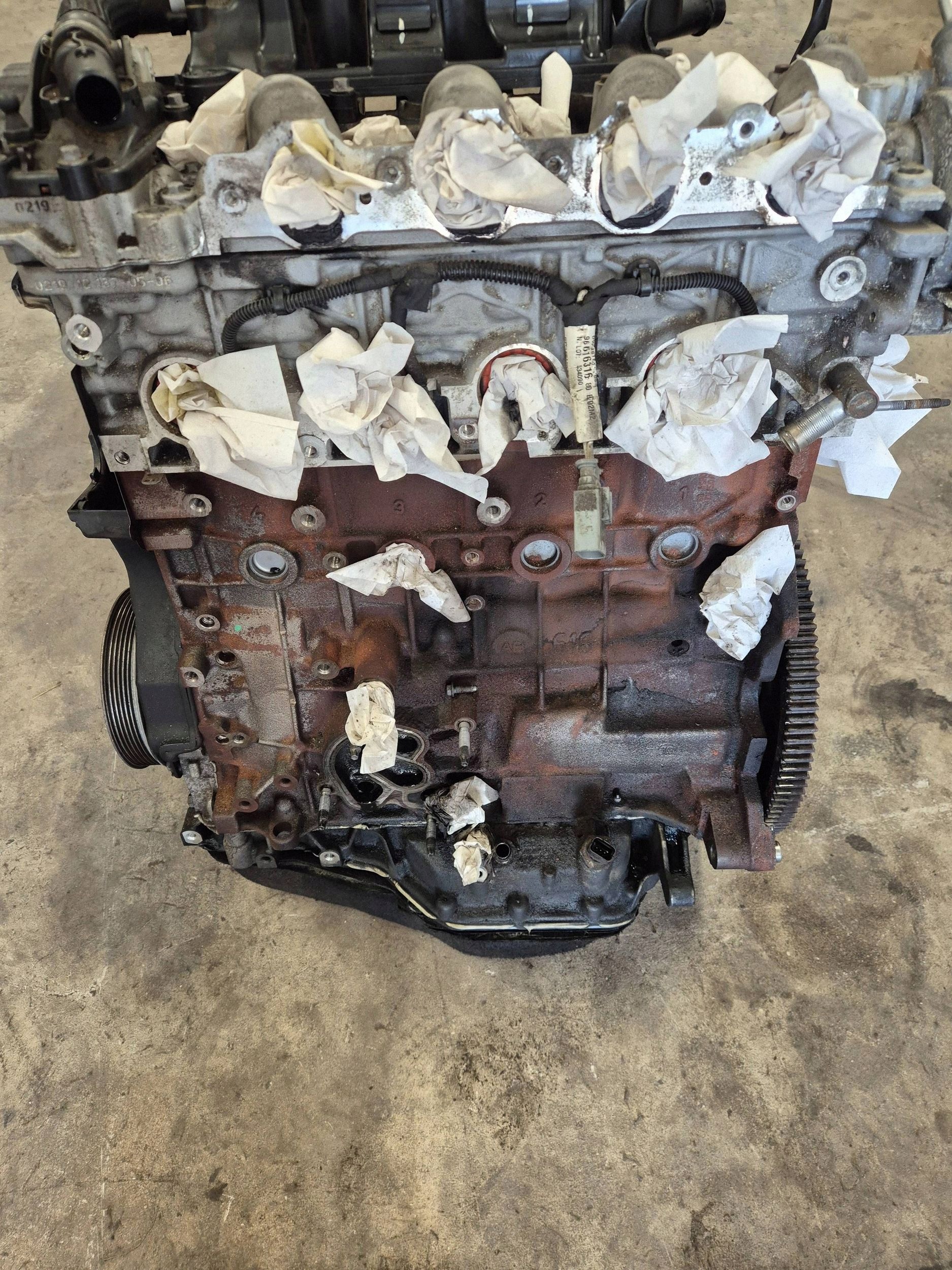 Moteur 224DT(DW12BTED4) - Image 6