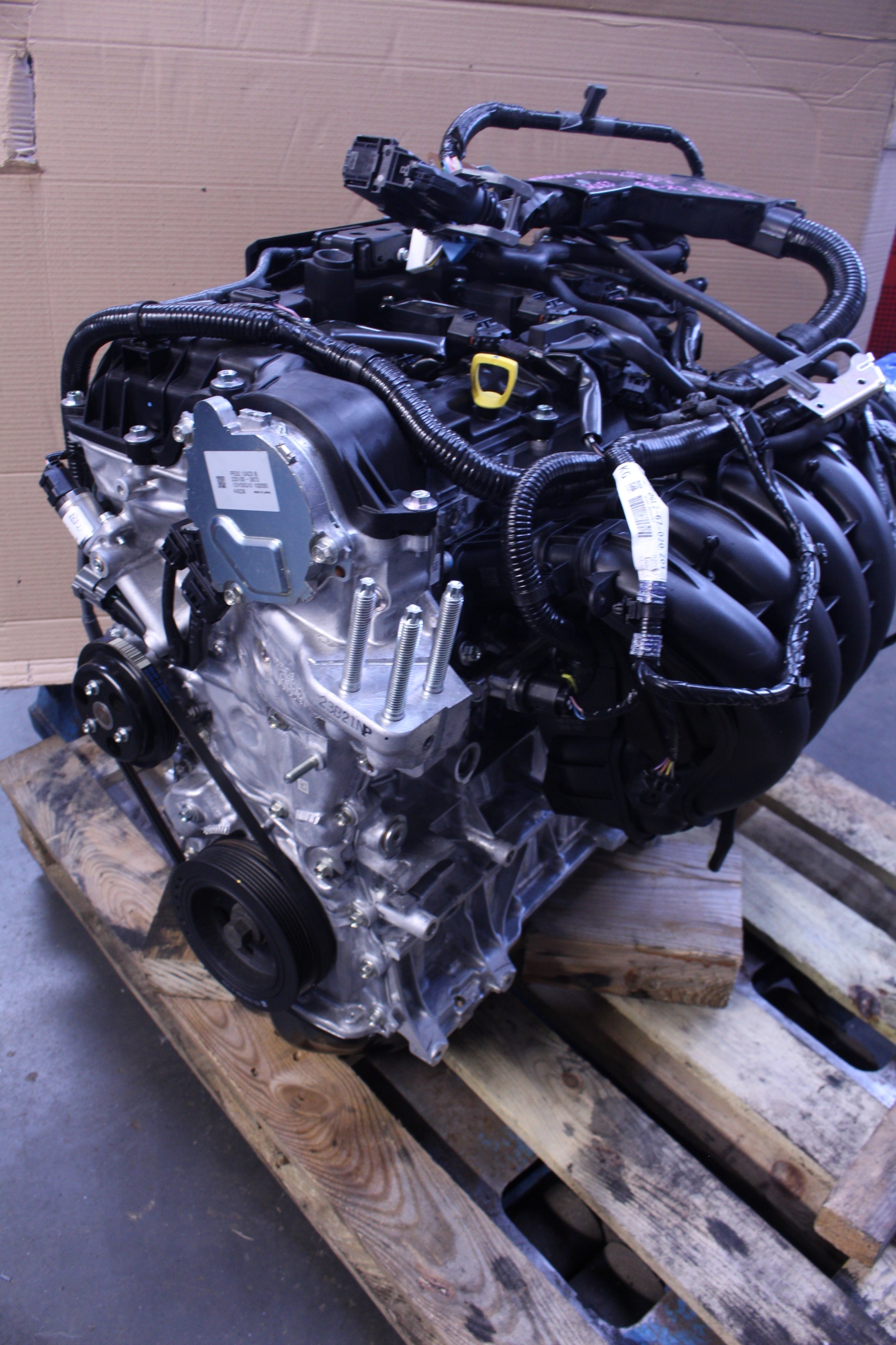 Moteur PEXN - Image 2