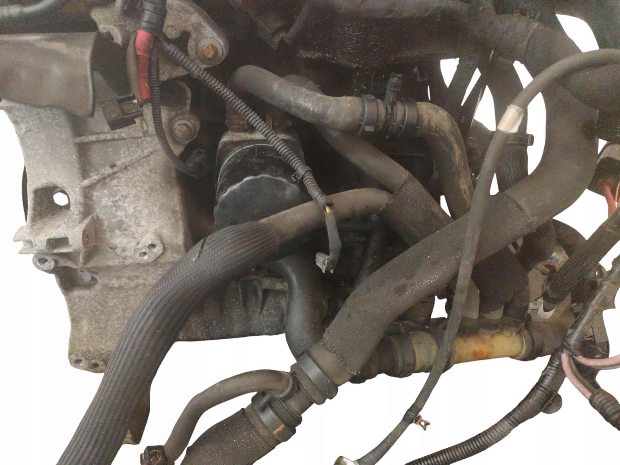 Moteur F9Q 804 - Image 6