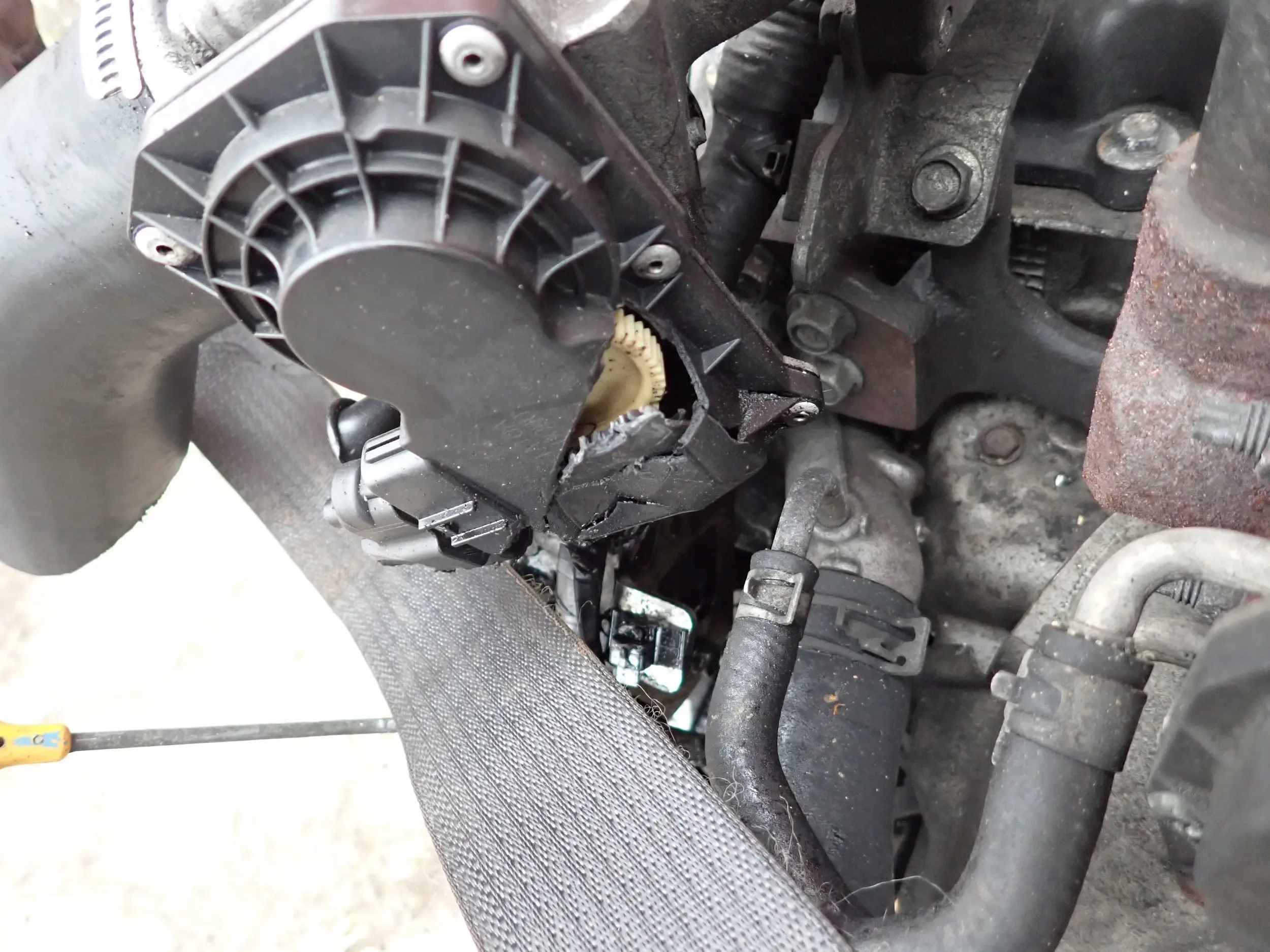 Moteur YD25DDTi - Image 4