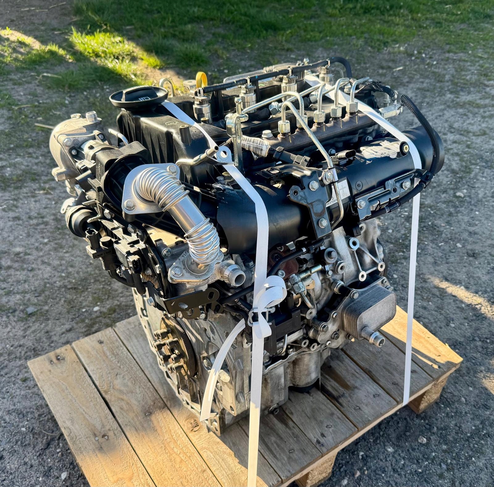 Moteur B 16 DTR - Image 3