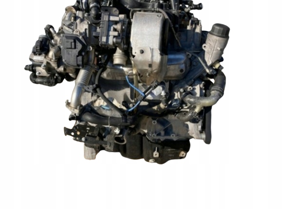 Moteur 204DTD(AJ20D4) - Image 3
