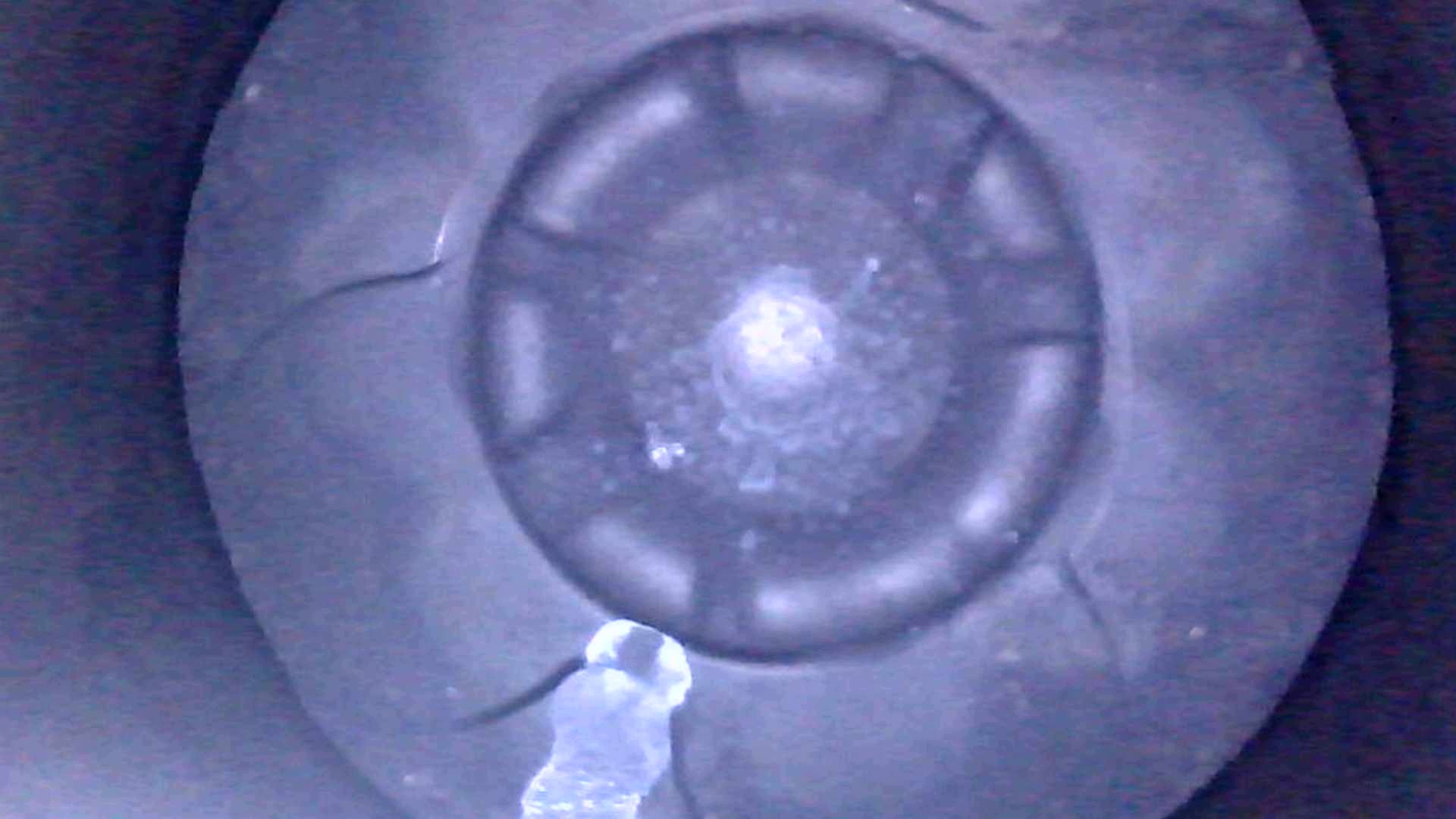 Moteur D 5204 T3 - Image 11