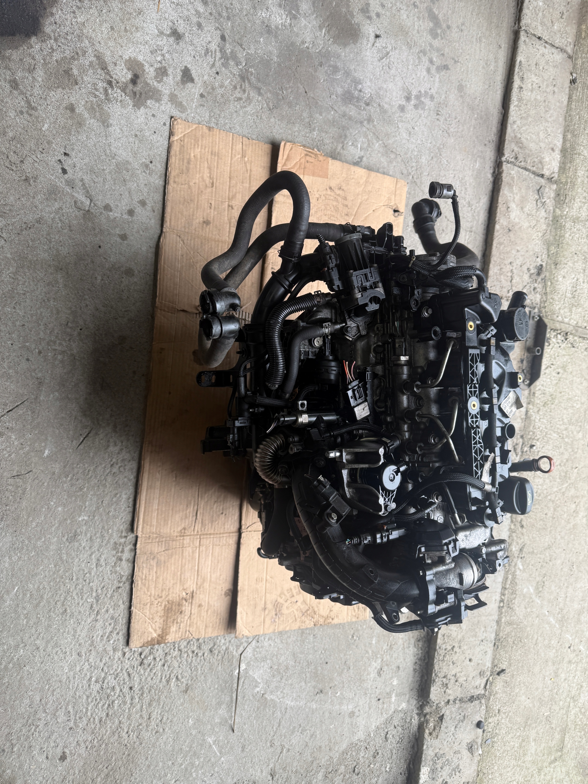 Moteur F 15 DTH (DV5RC) — vue 1