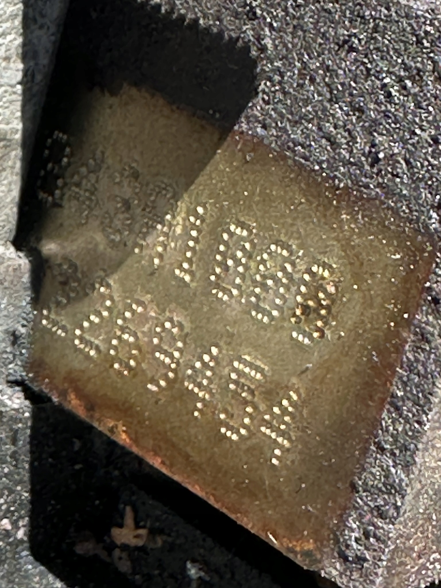 Moteur 843 A1.000 - Image 6