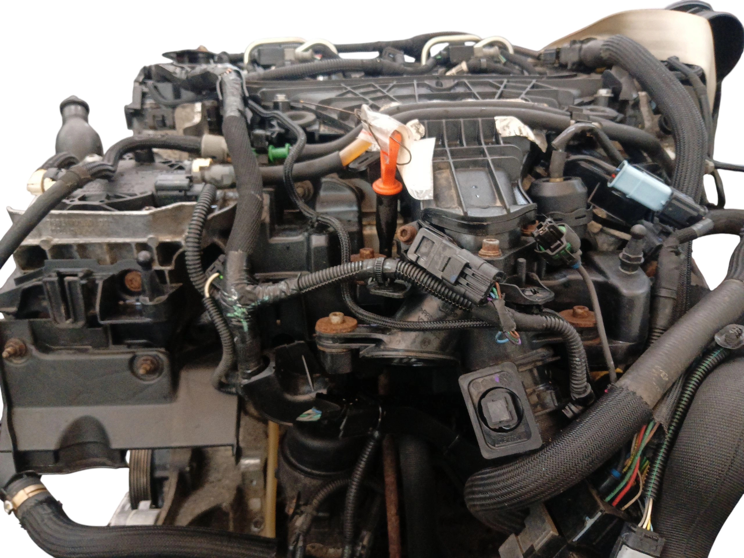 Moteur RHA (DW10CTED4) - Image 2