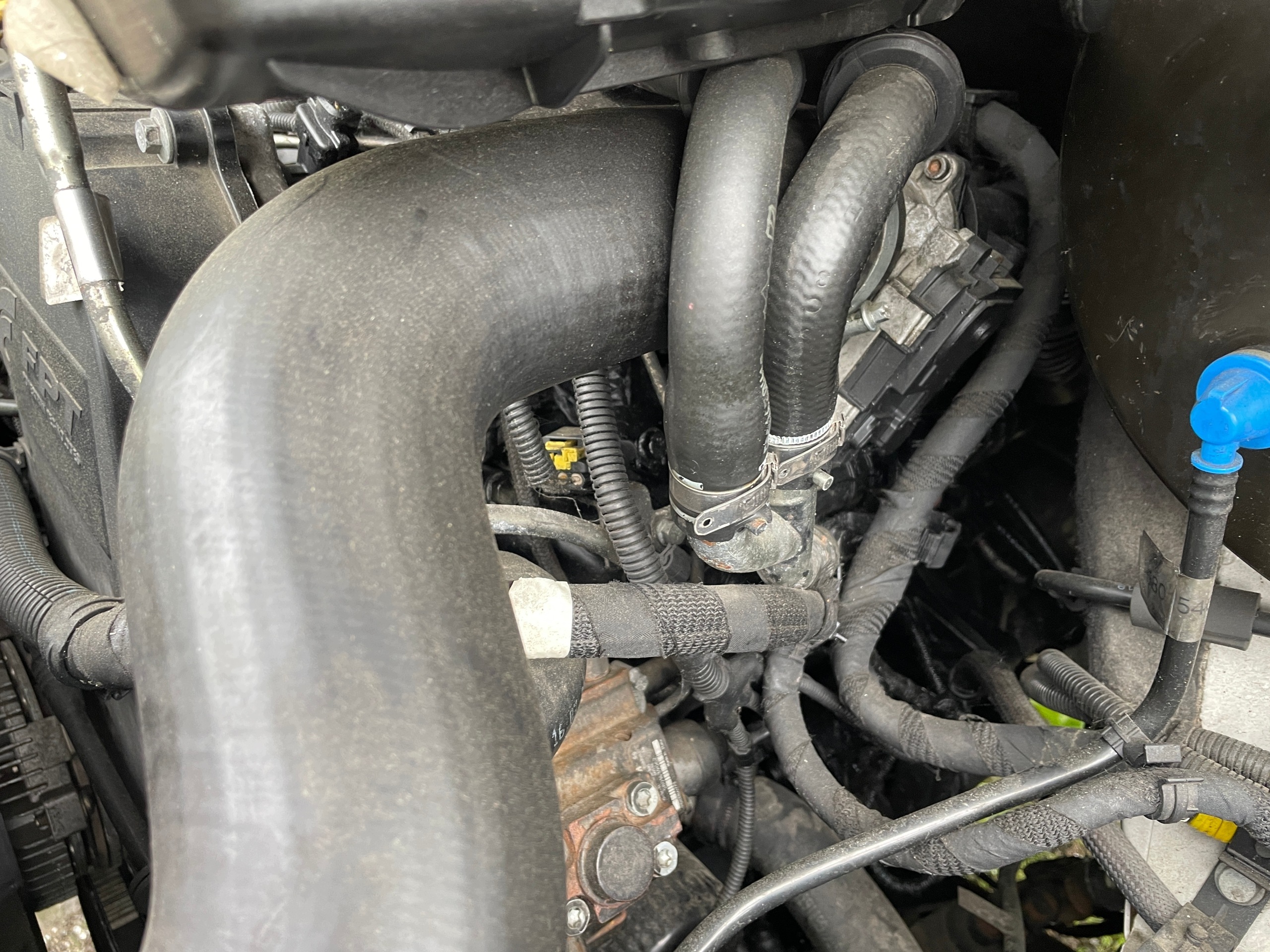 Moteur F1AFL411C - Image 2