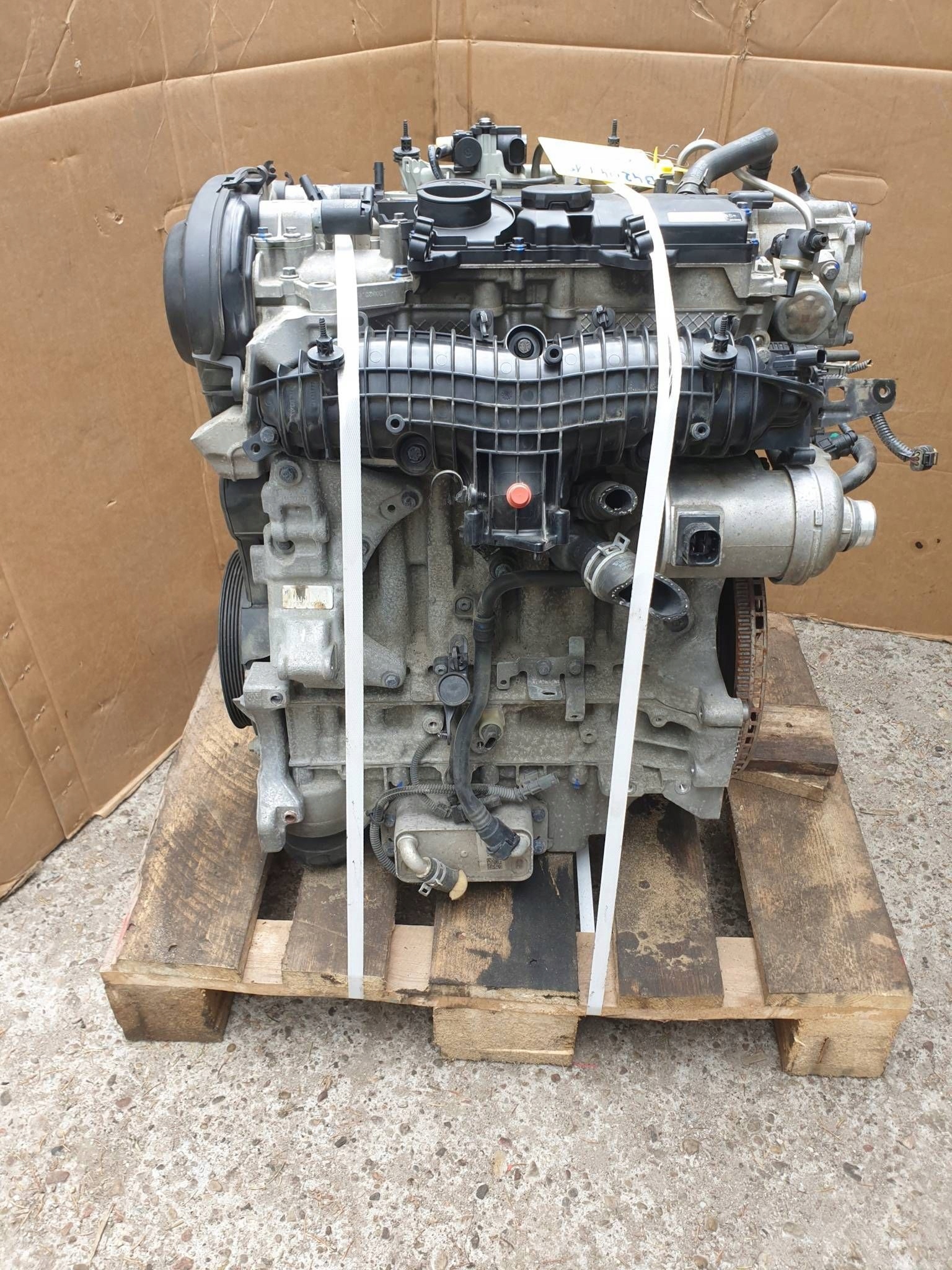 Moteur B 4204 T19 - Image 4