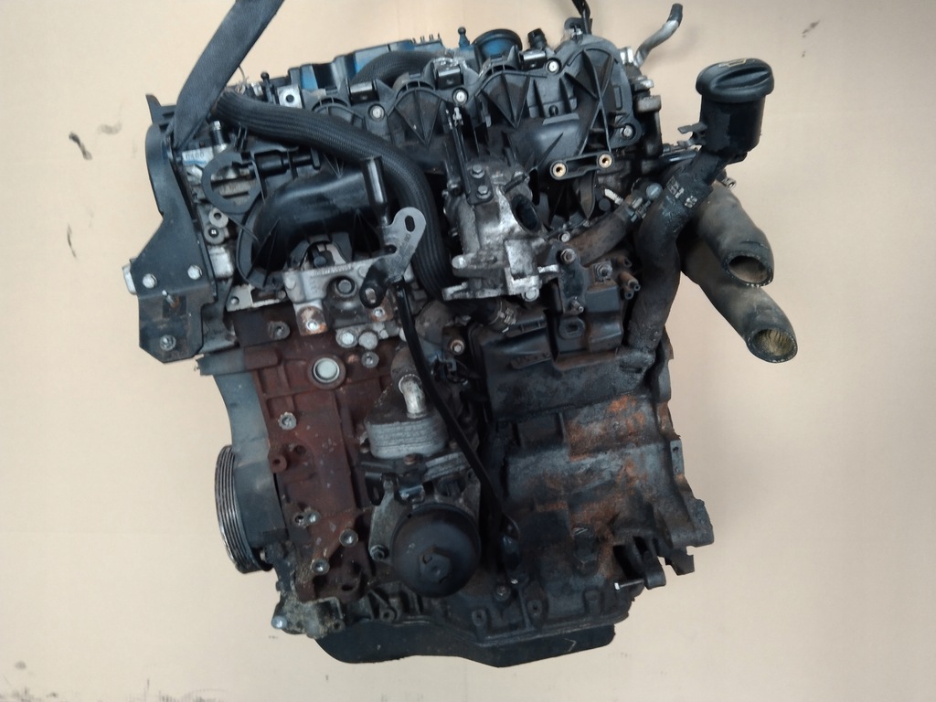 Moteur 4HR (DW12BTED4) - Image 2