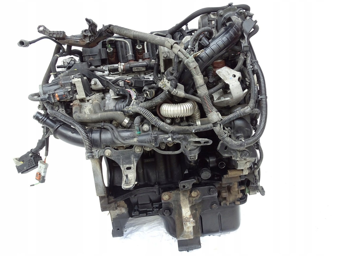 Moteur D 15 DTH (DV5RC) - Image 4