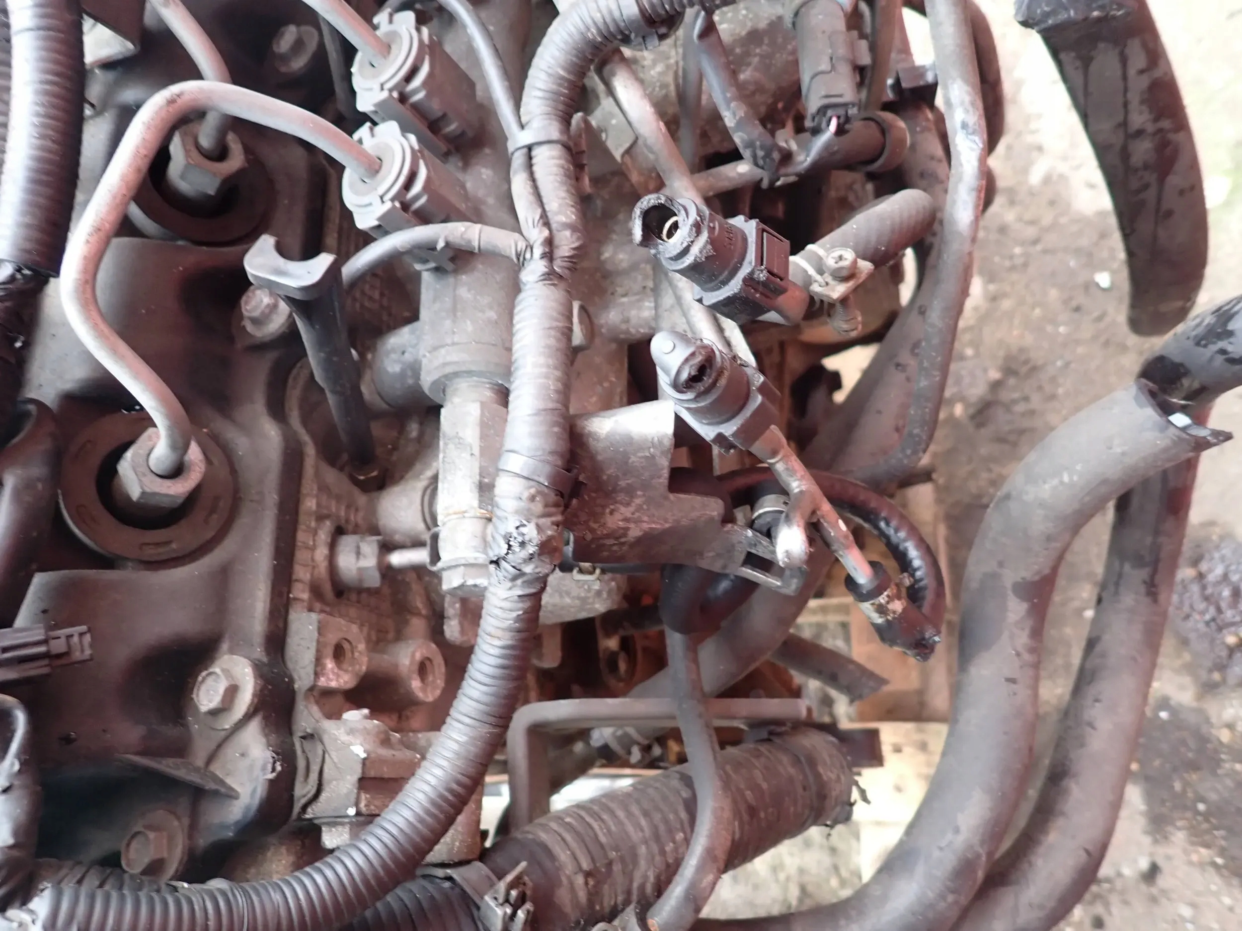 Moteur YD25DDTi - Image 5