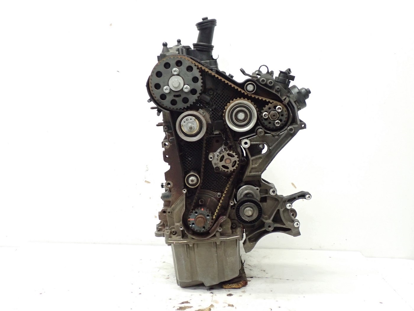 Moteur CAAE - Image 4