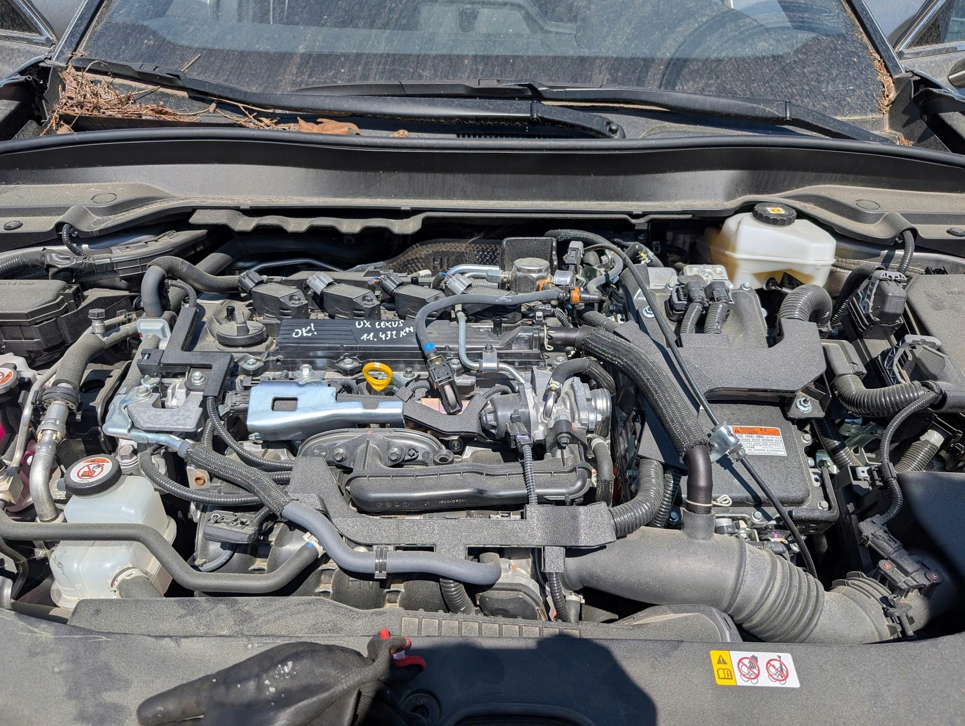 Moteur M20A-FXS - Image 5