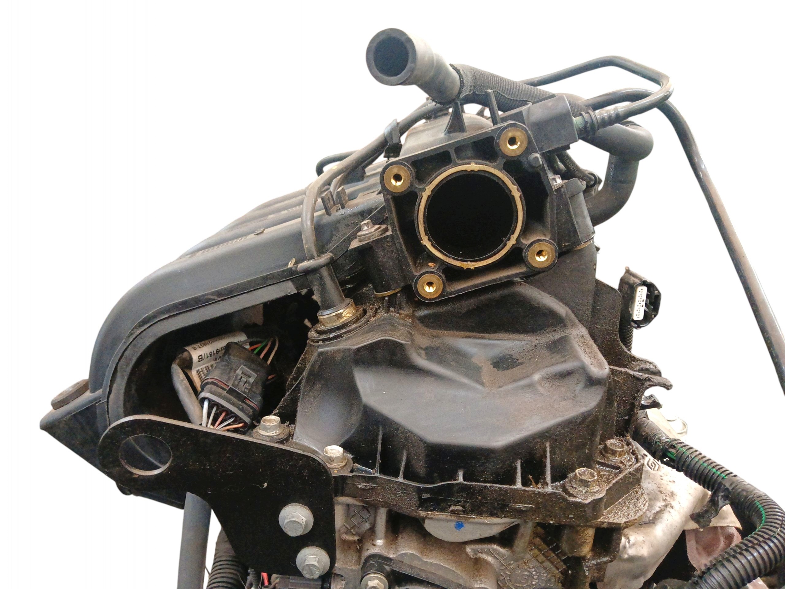 Moteur D4F 732 - Image 6