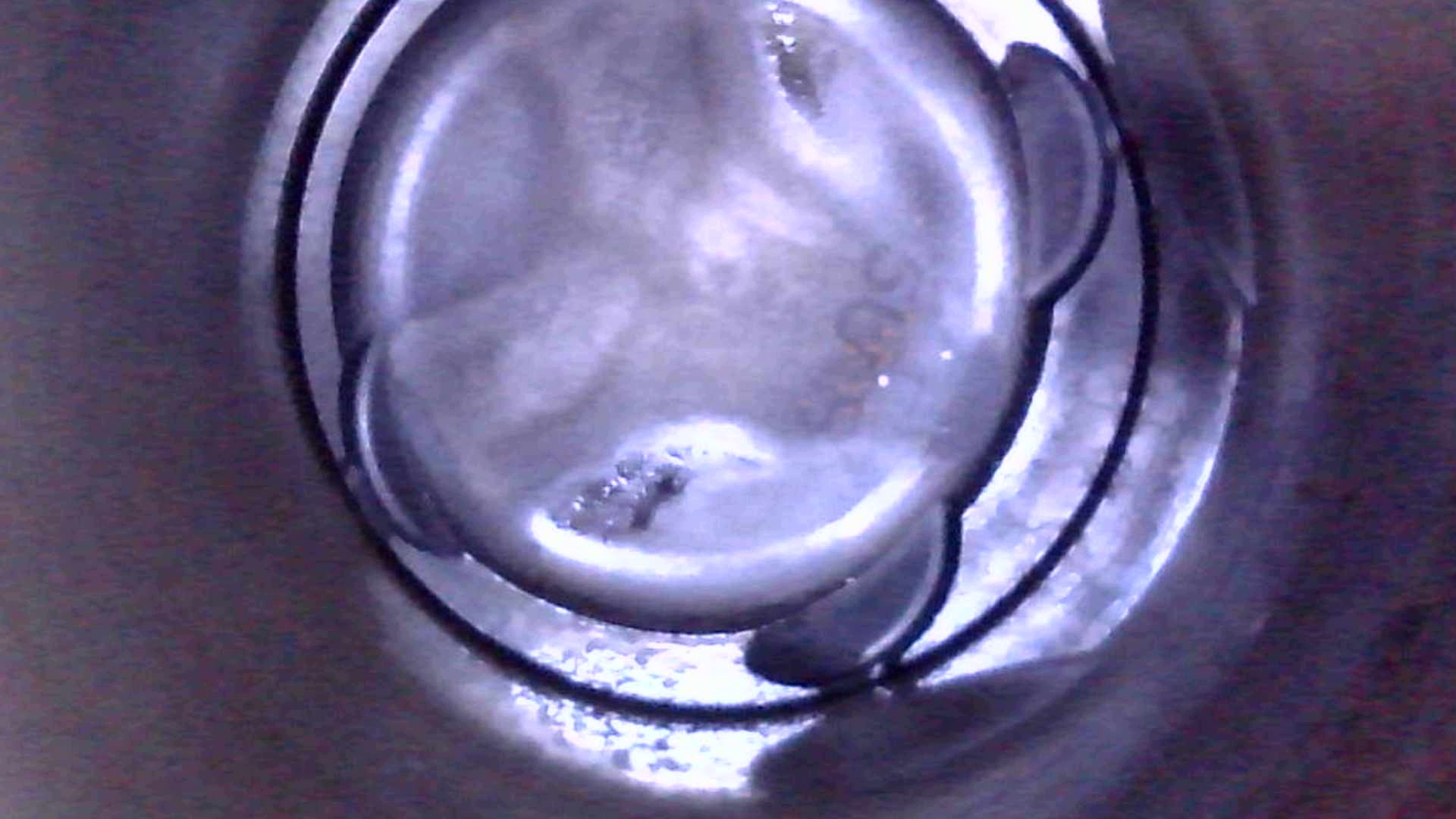 Moteur G4LK - Image 15