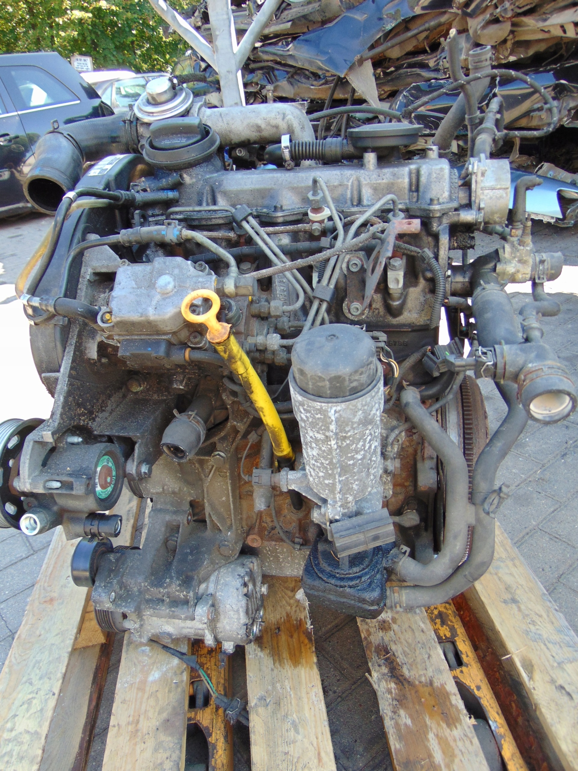 Moteur AGR - Image 2