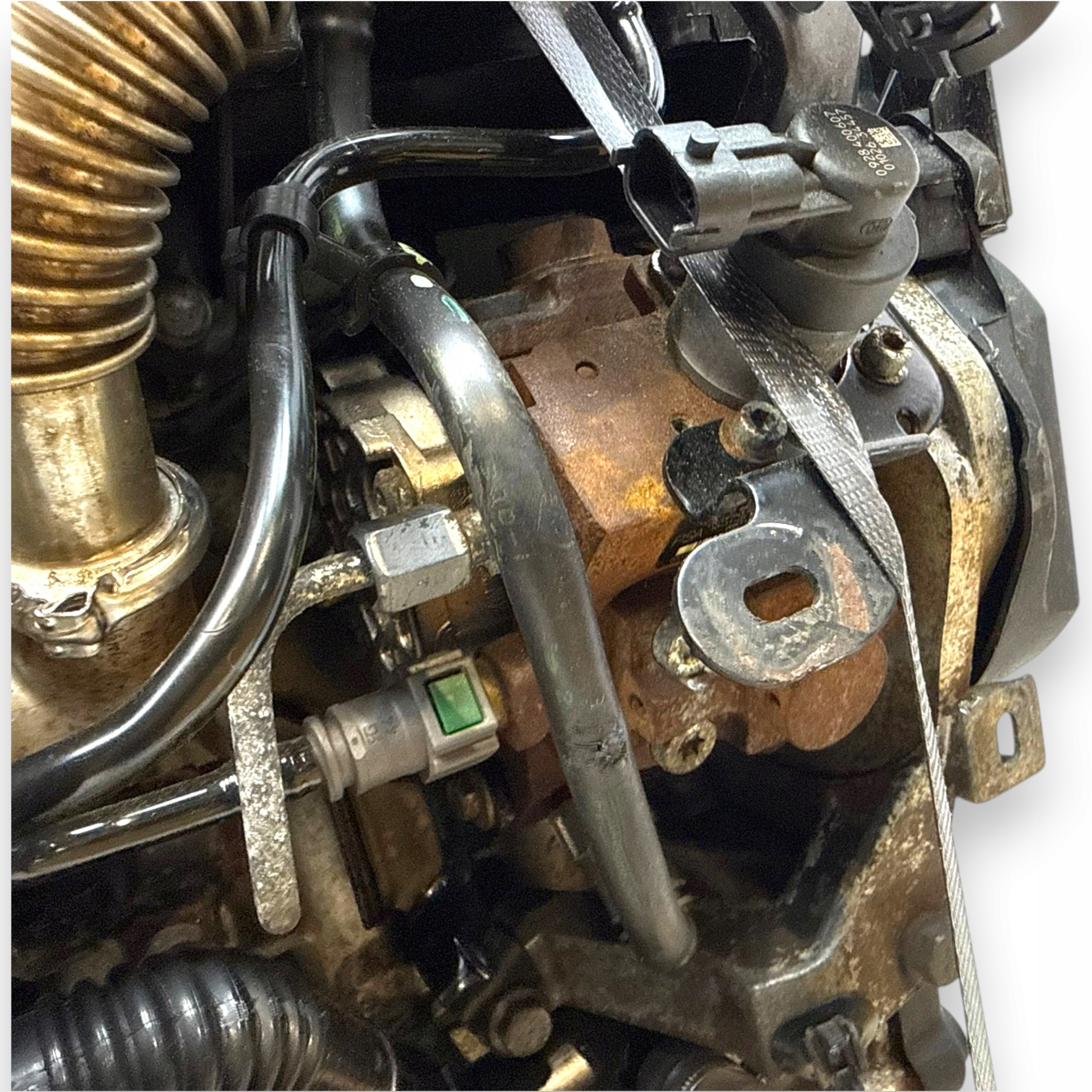 Moteur 8HS (DV4TED) - Image 12