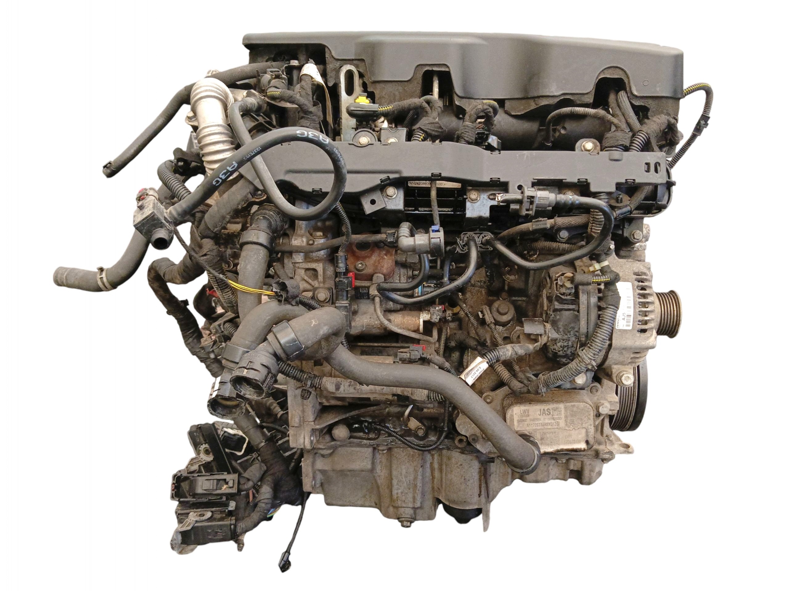 Moteur B 16 DTU - Image 2