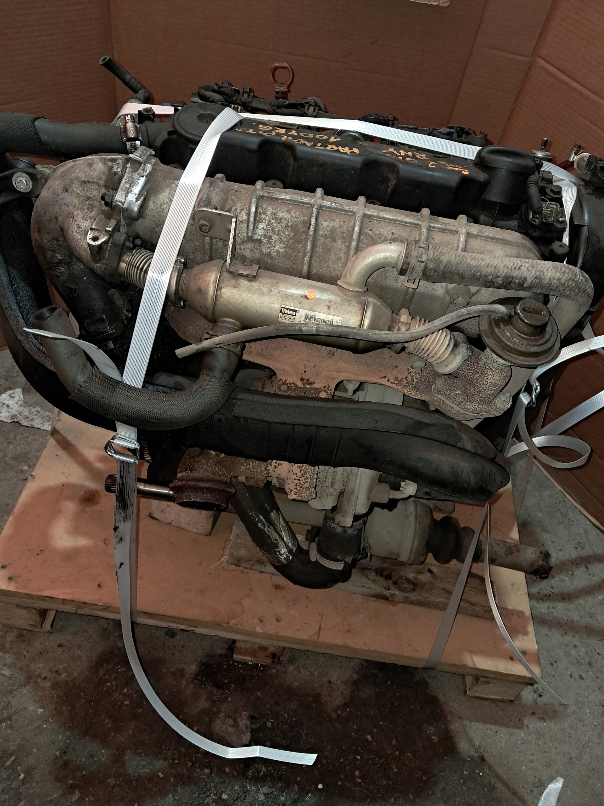 Moteur RHV (DW10TD) - Image 4