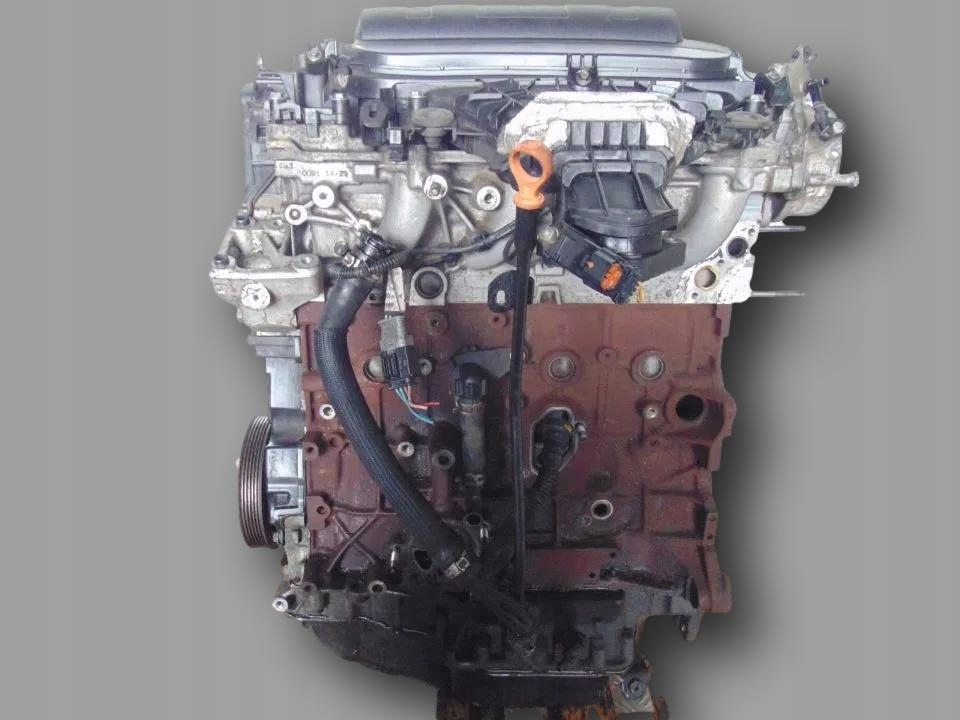Moteur RHA (DW10CTED4) — vue 1