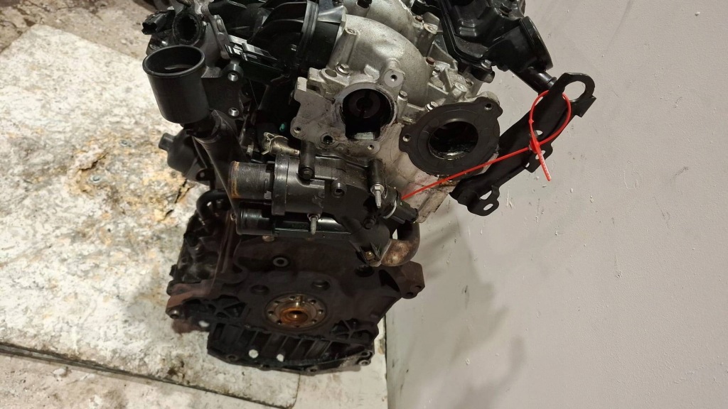 Moteur 4HR (DW12BTED4) - Image 3