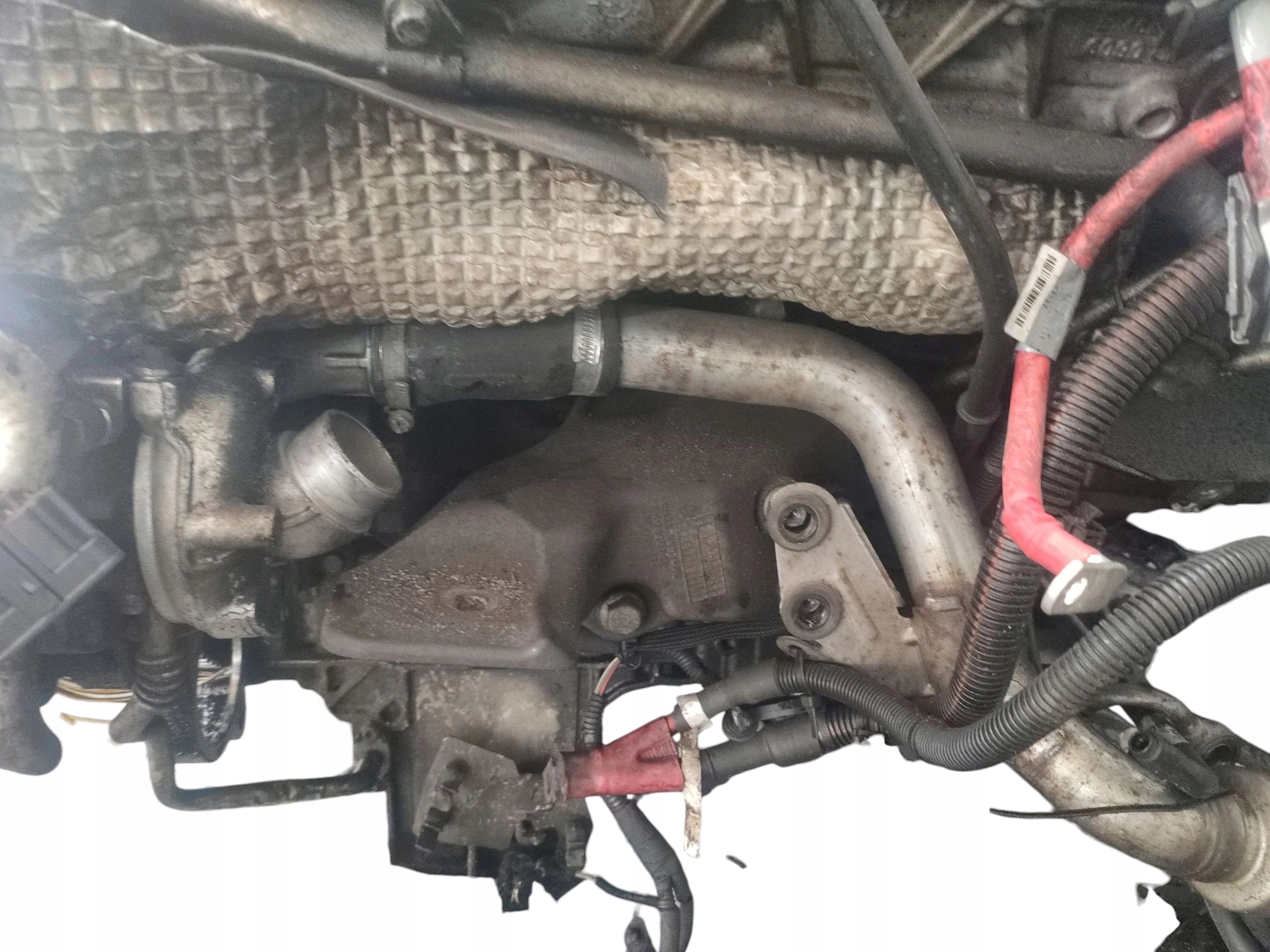 Moteur 368DT(LION) — vue 5