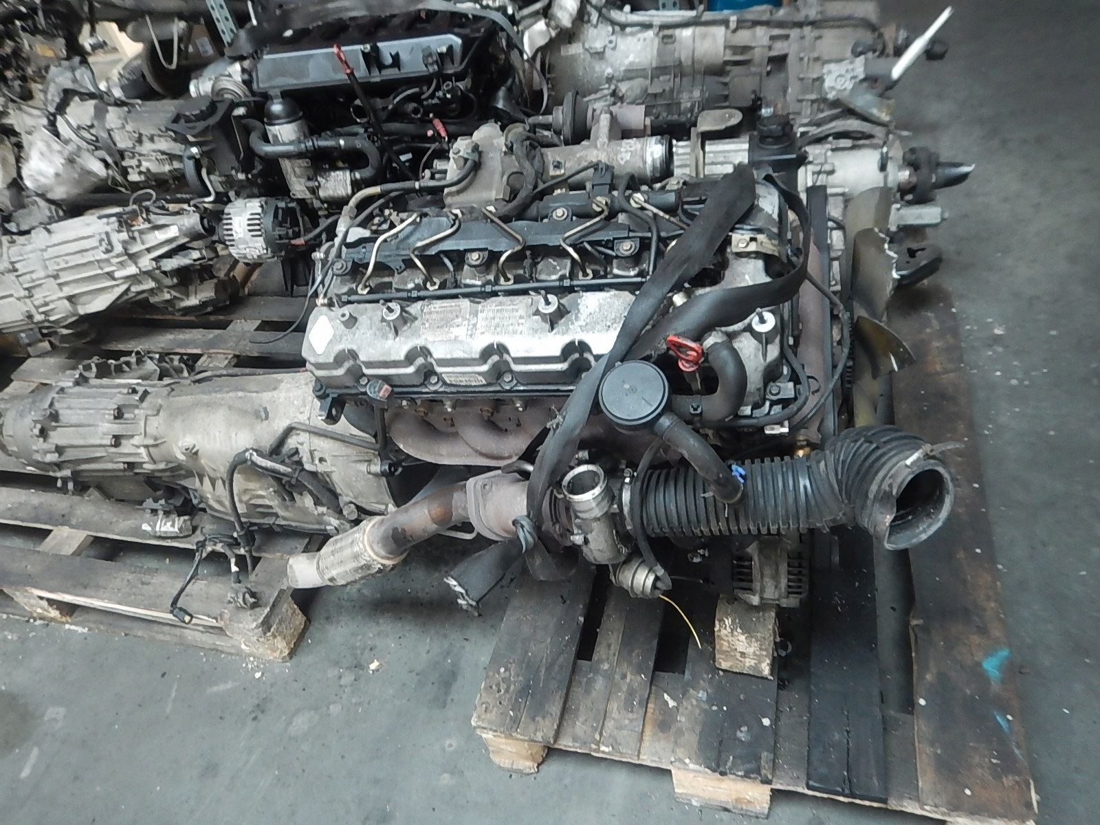 Moteur D20DTR - Image 2