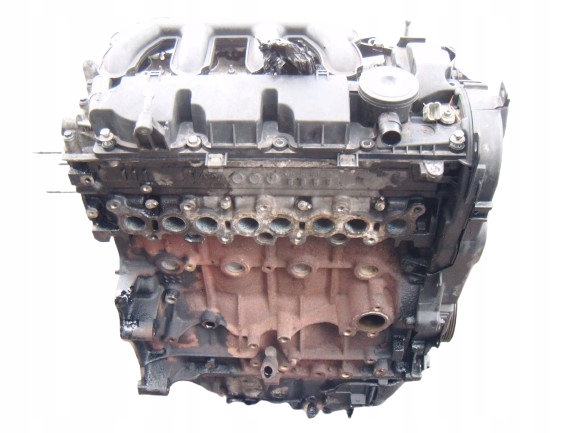 Moteur RHF (DW10BTED4) — vue 1