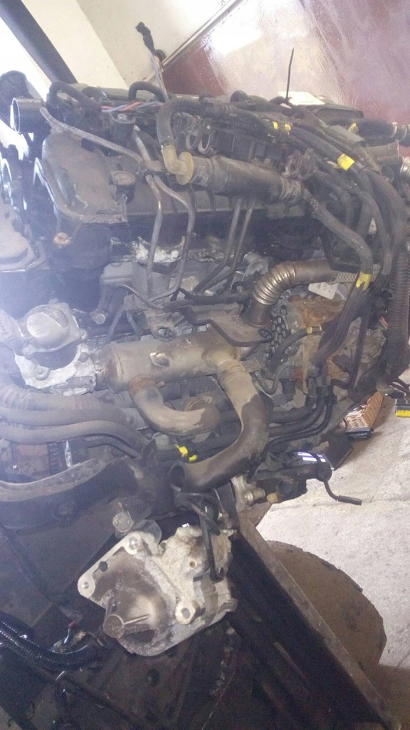 Moteur 9HV (DV6TED4) - Image 3