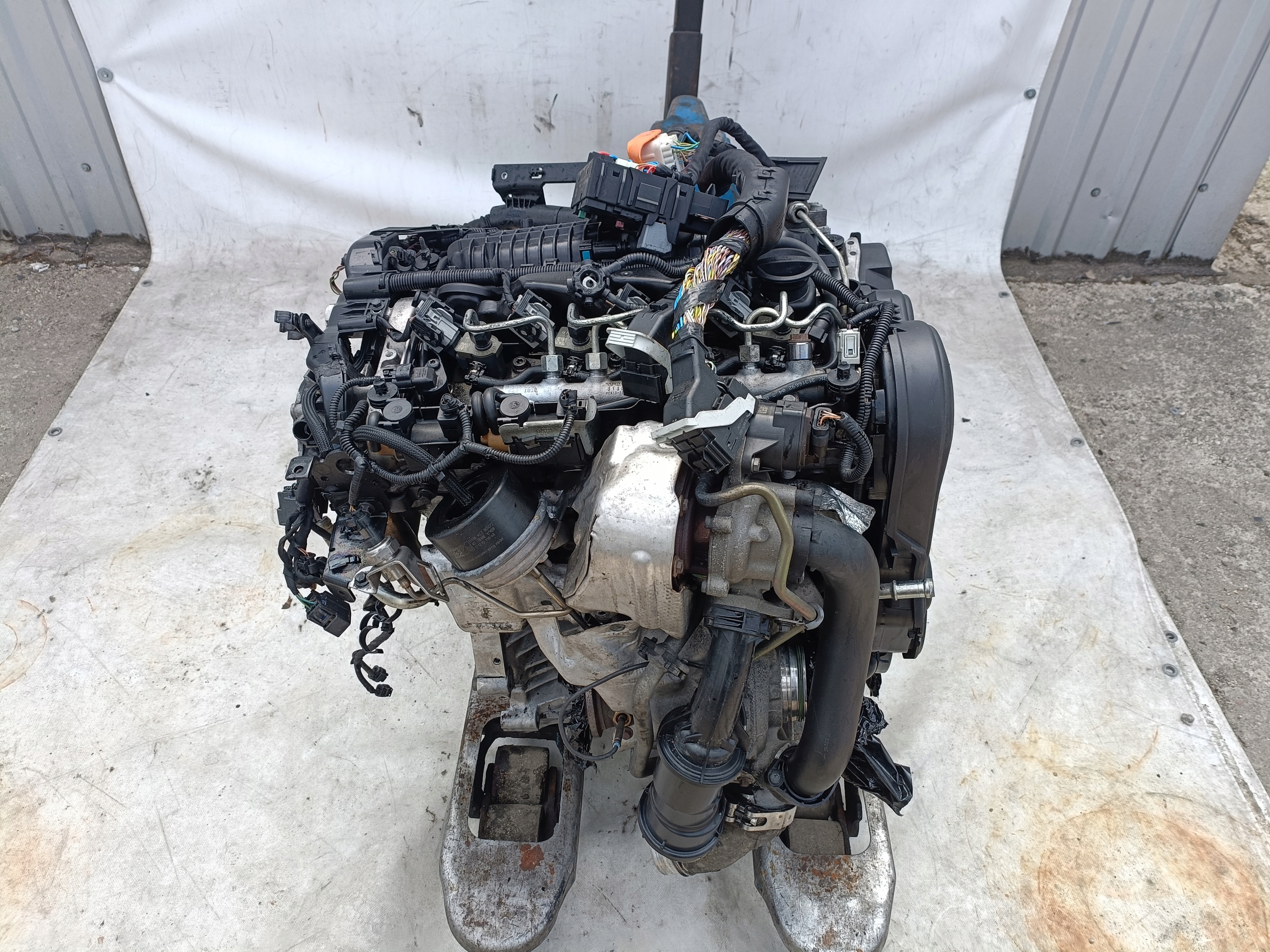 Moteur D 4204 T23 - Image 3