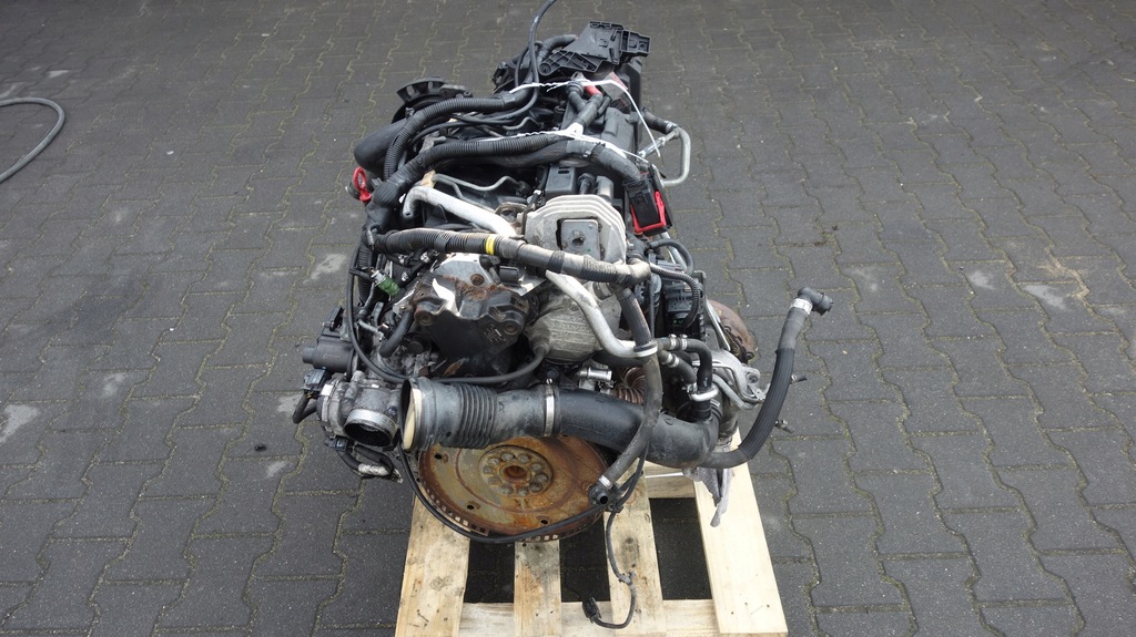Moteur D 5244 T5 - Image 2