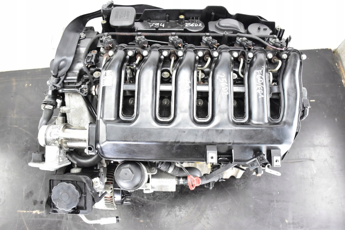 Moteur M57 D25 (256D2) - Image 6